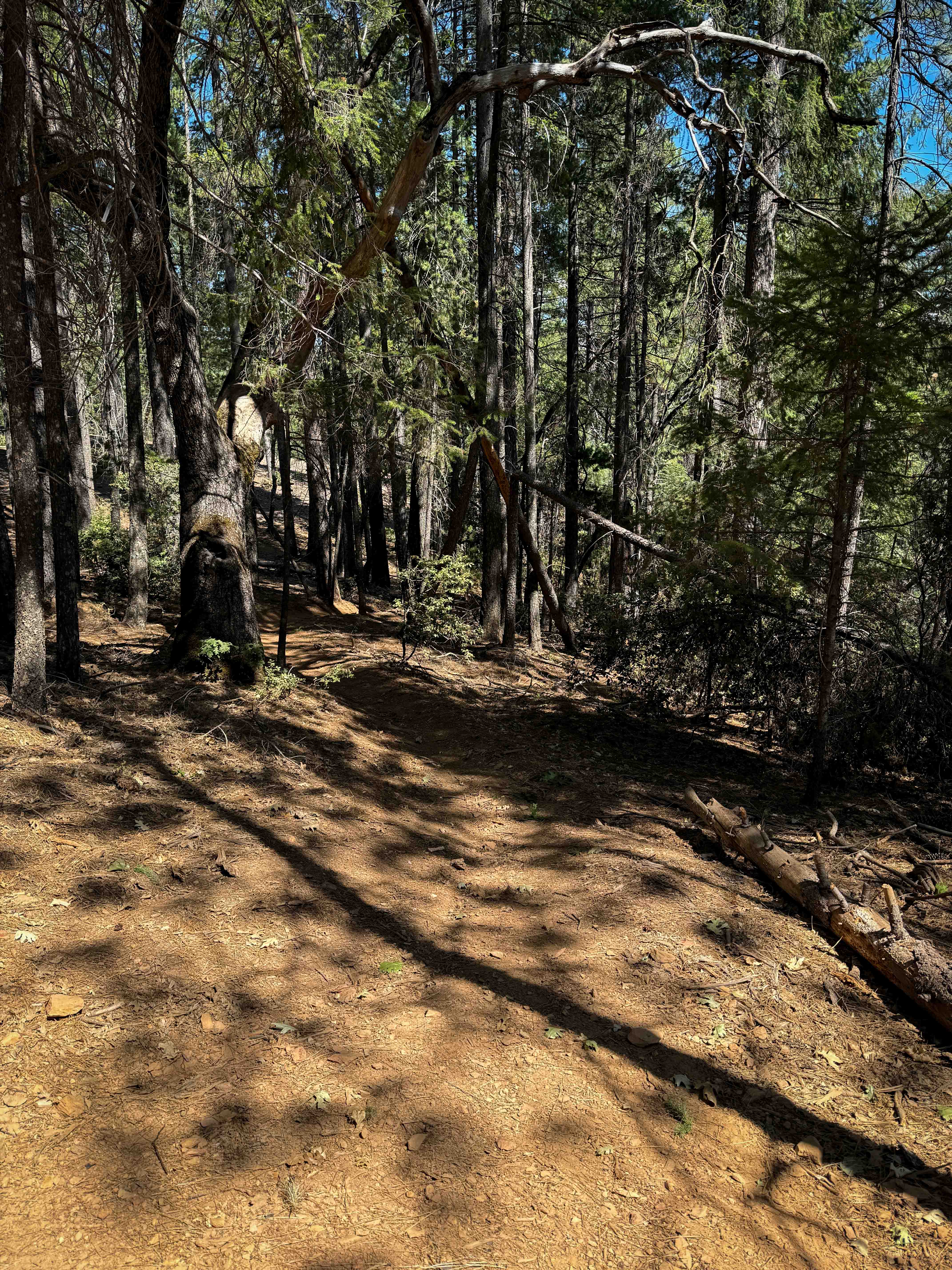 Trail 5-2 (11E29)
