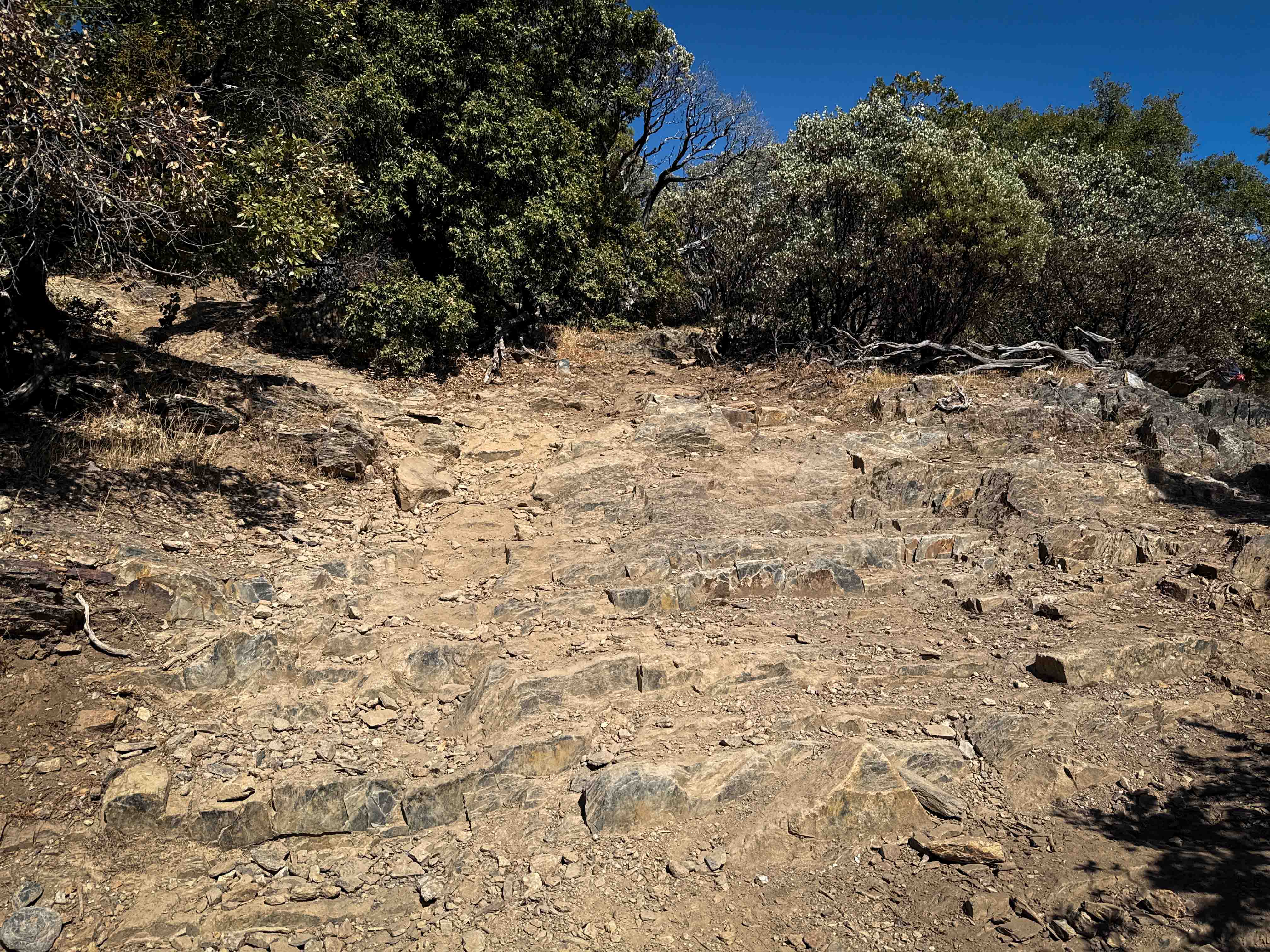 Trail 1 (Advanced) (11E23)