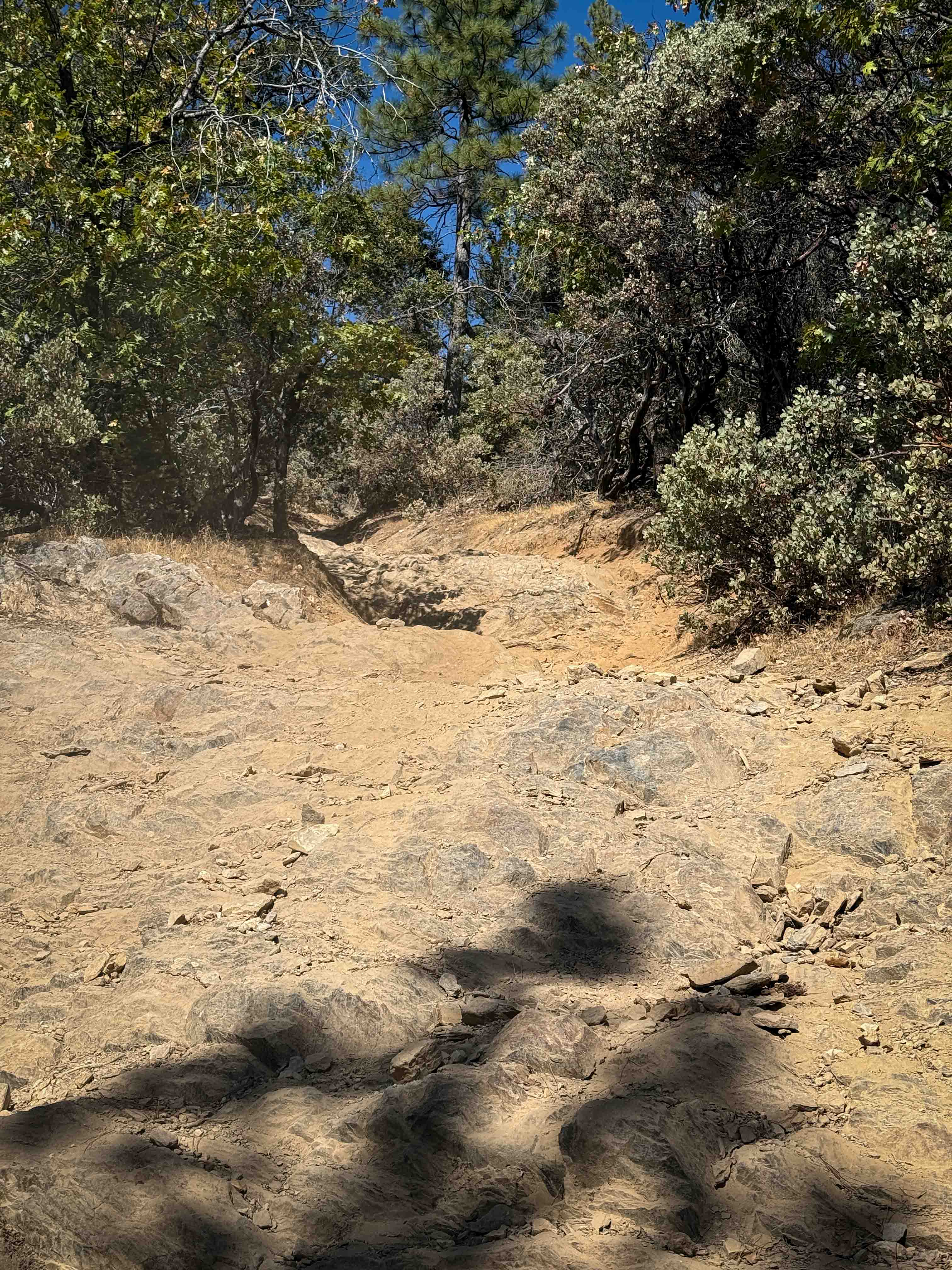 Trail 1 (Advanced) (11E23)