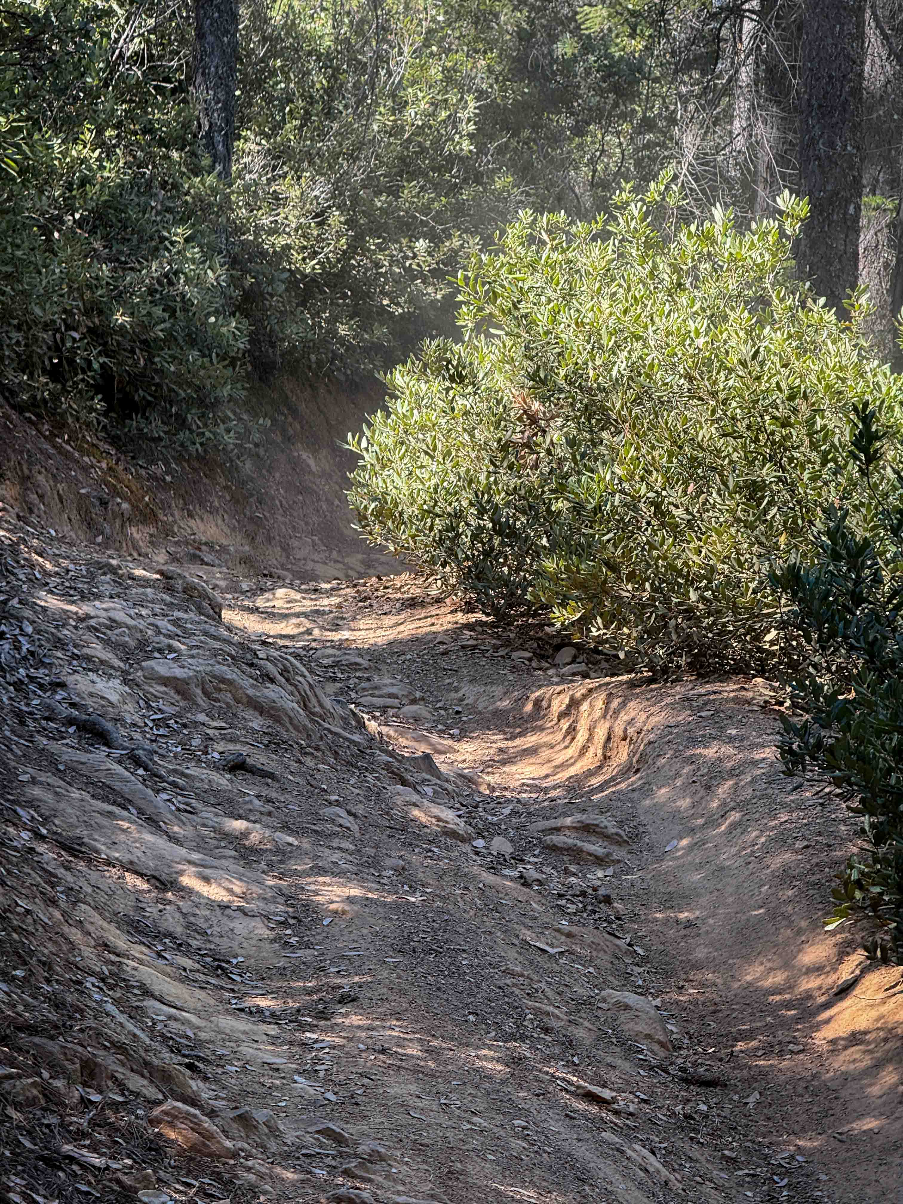 Trail 3-1 ATV (11E16)