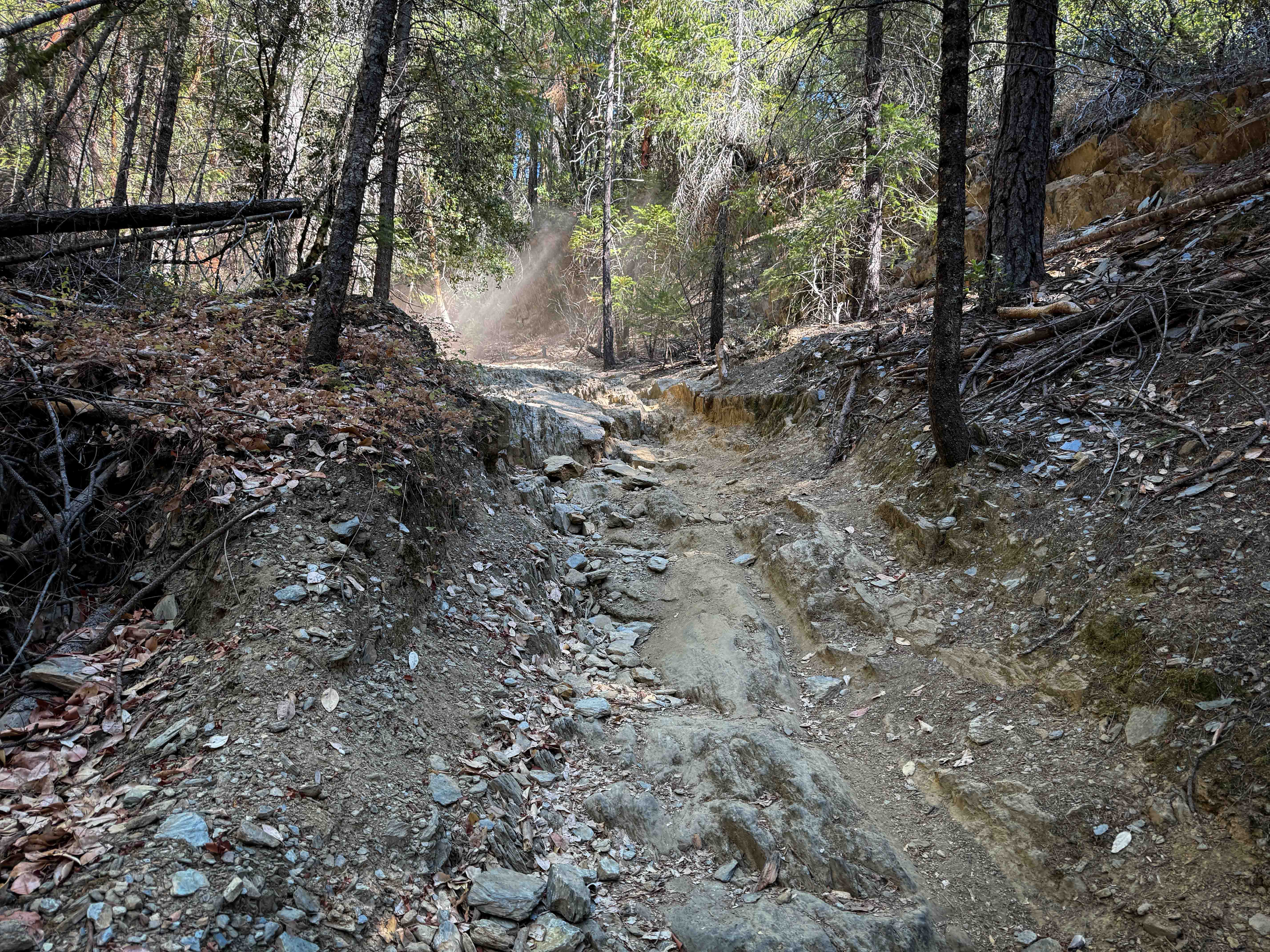 Trail 3-1 ATV (11E16)