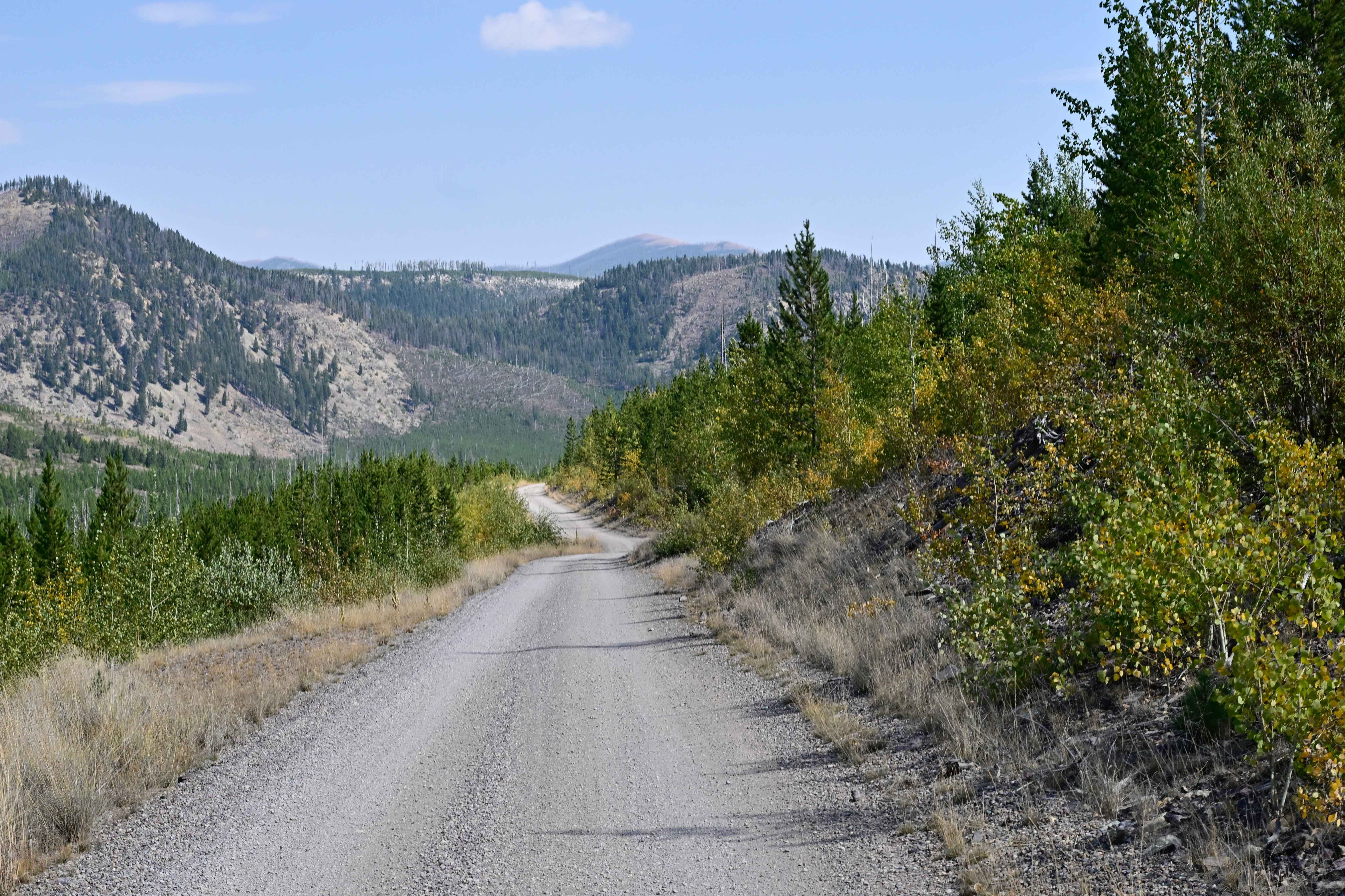 Copper Creek Road - FS 330