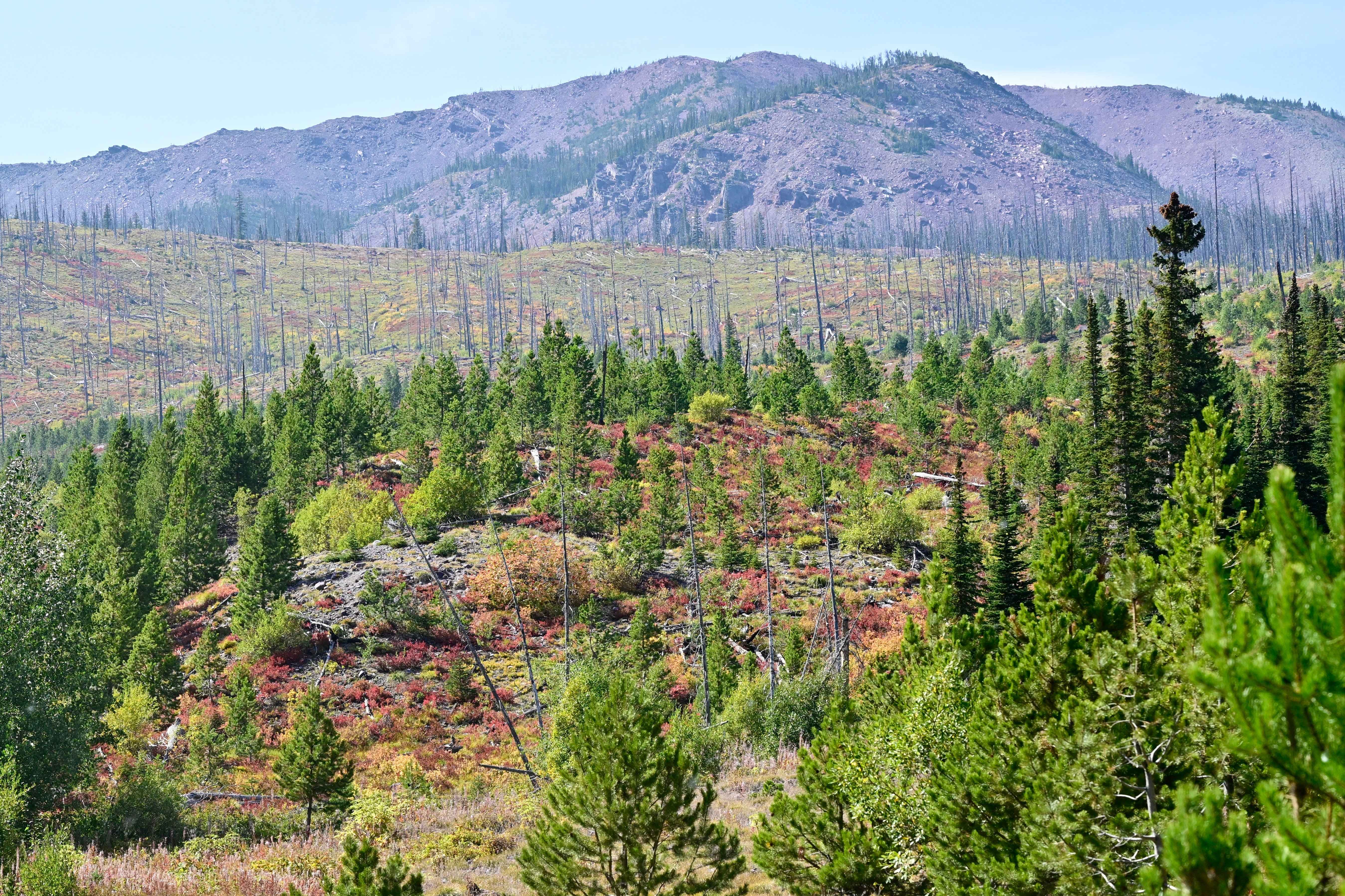 Copper Creek Road - FS 330