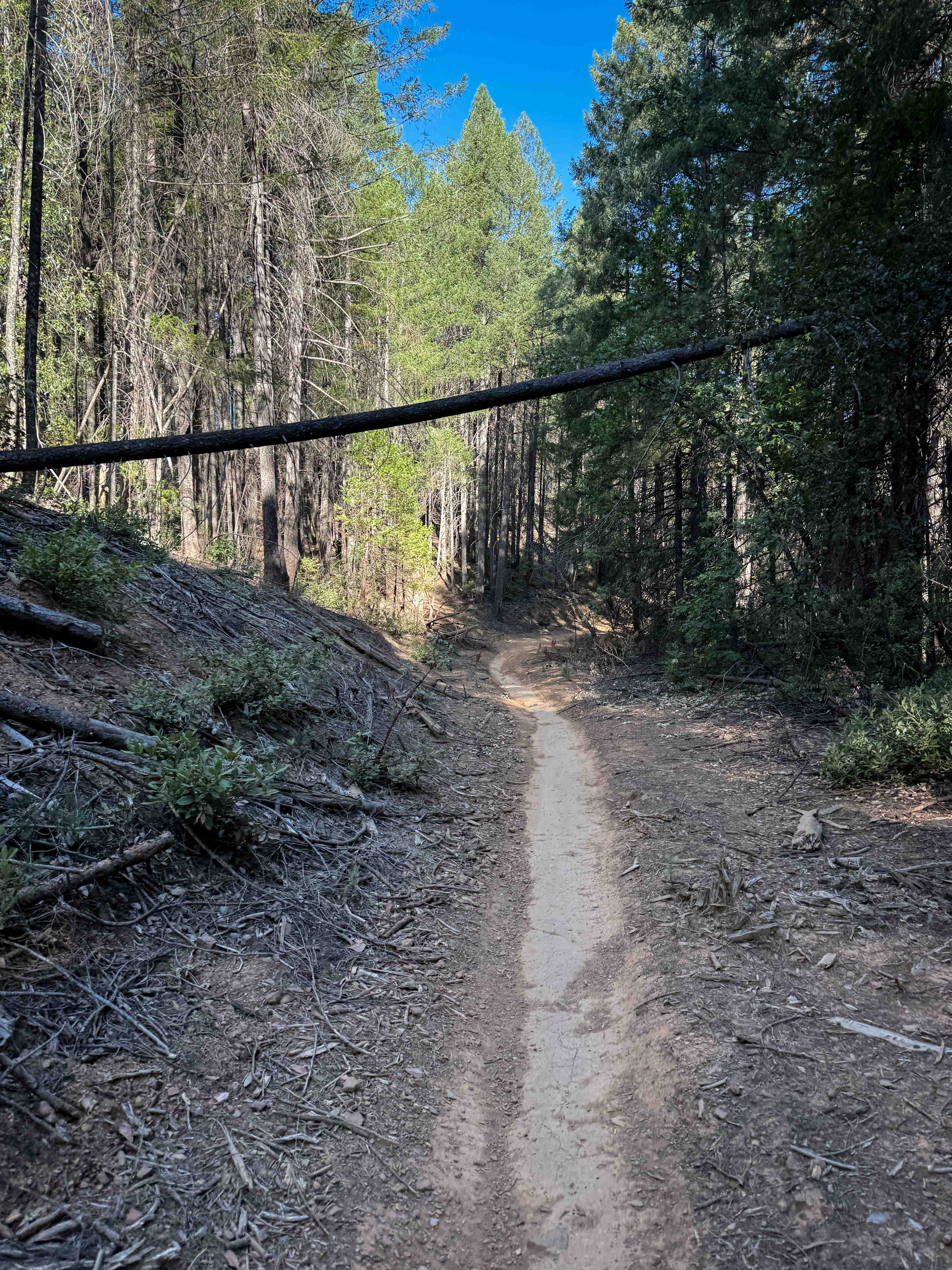 Trail 9 (11E13)