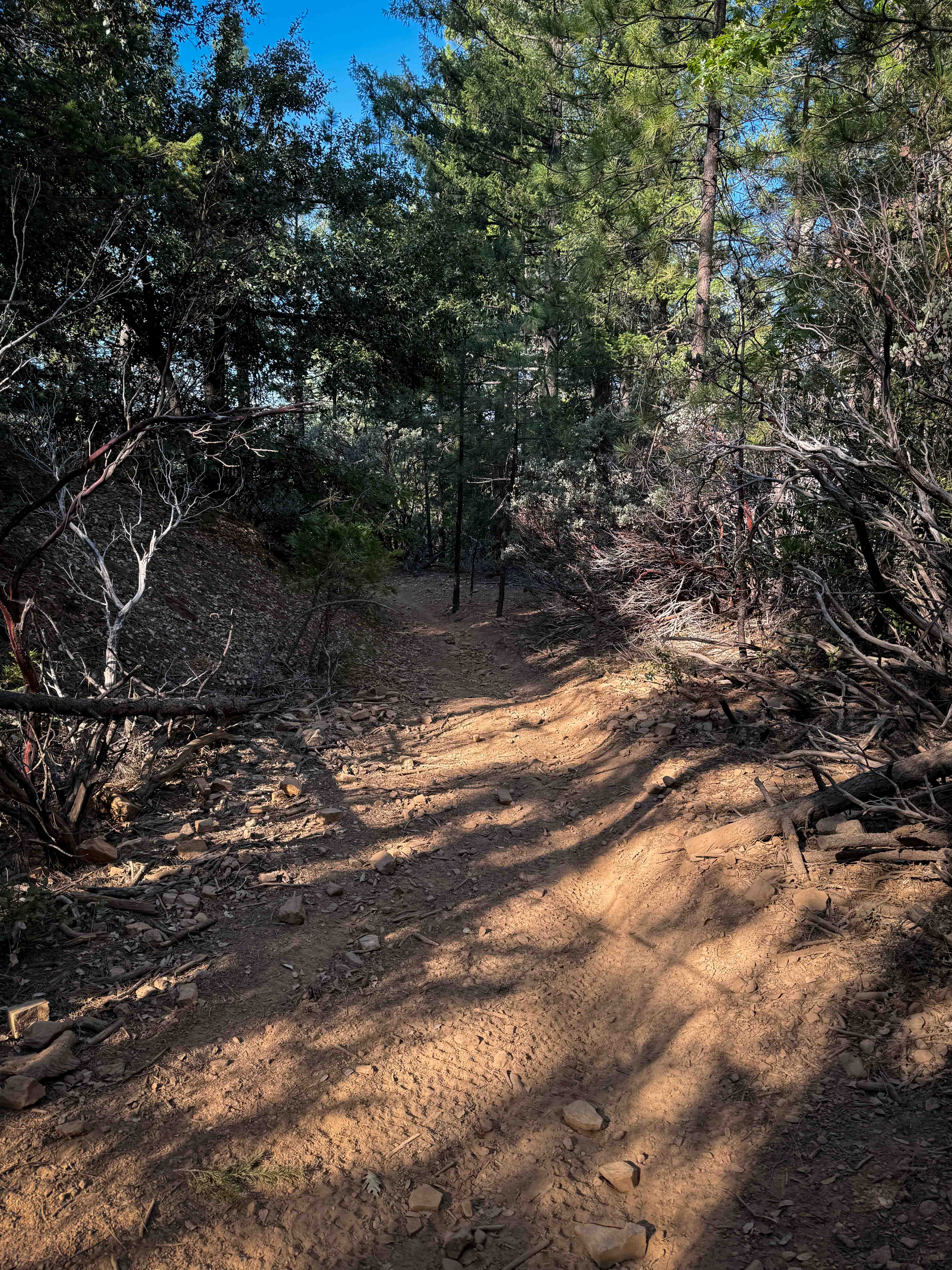 Trail 9 (11E13)