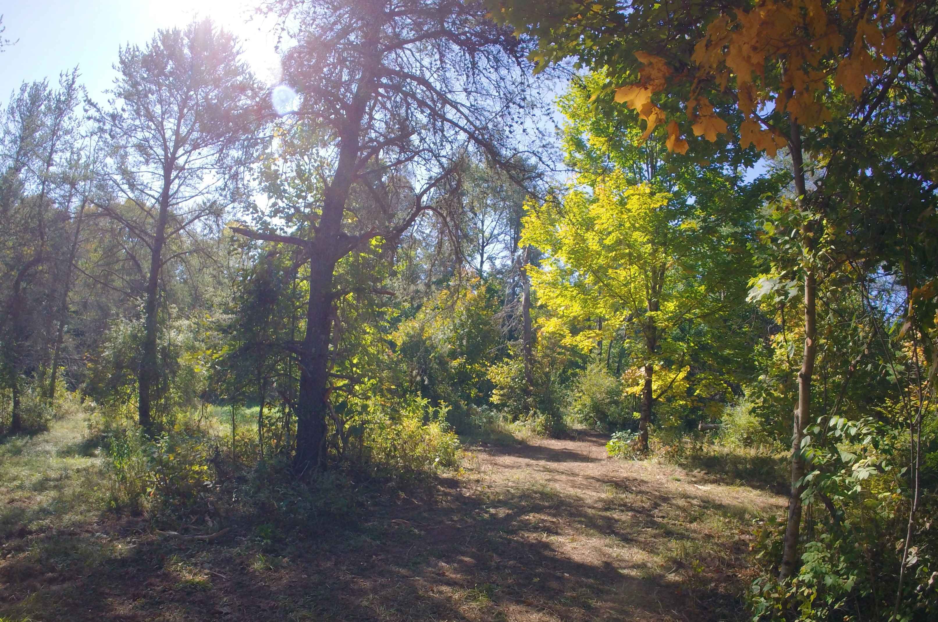 St. Lawrence County Multi-Use Trail - Southern Section