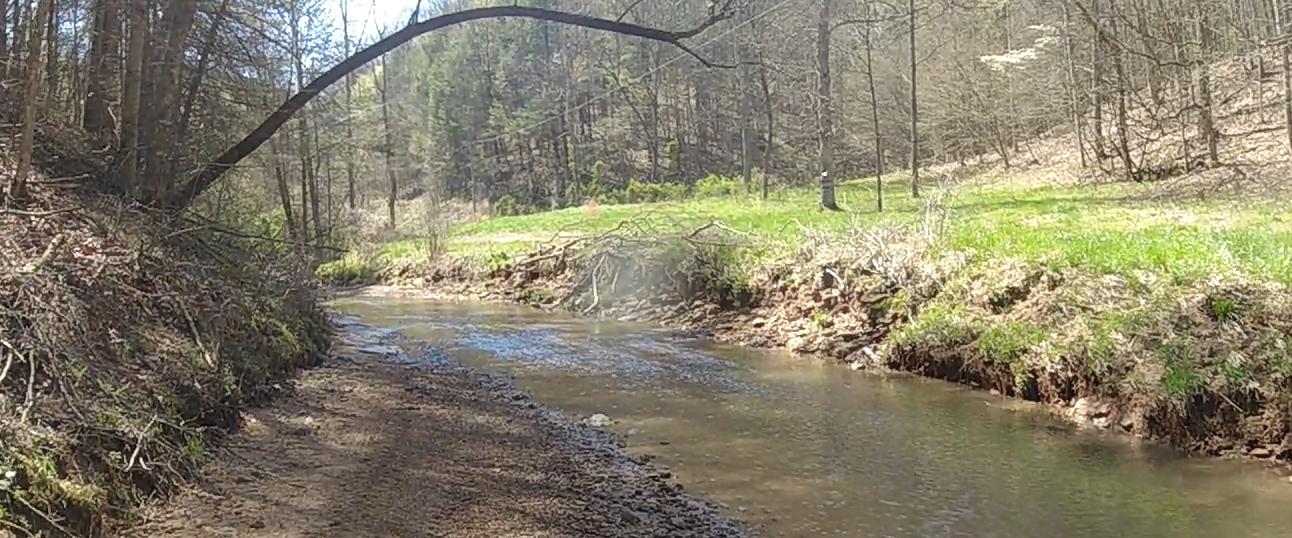 Puncheon Camp Branch