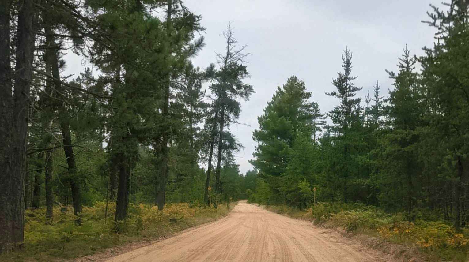Vermillion Road