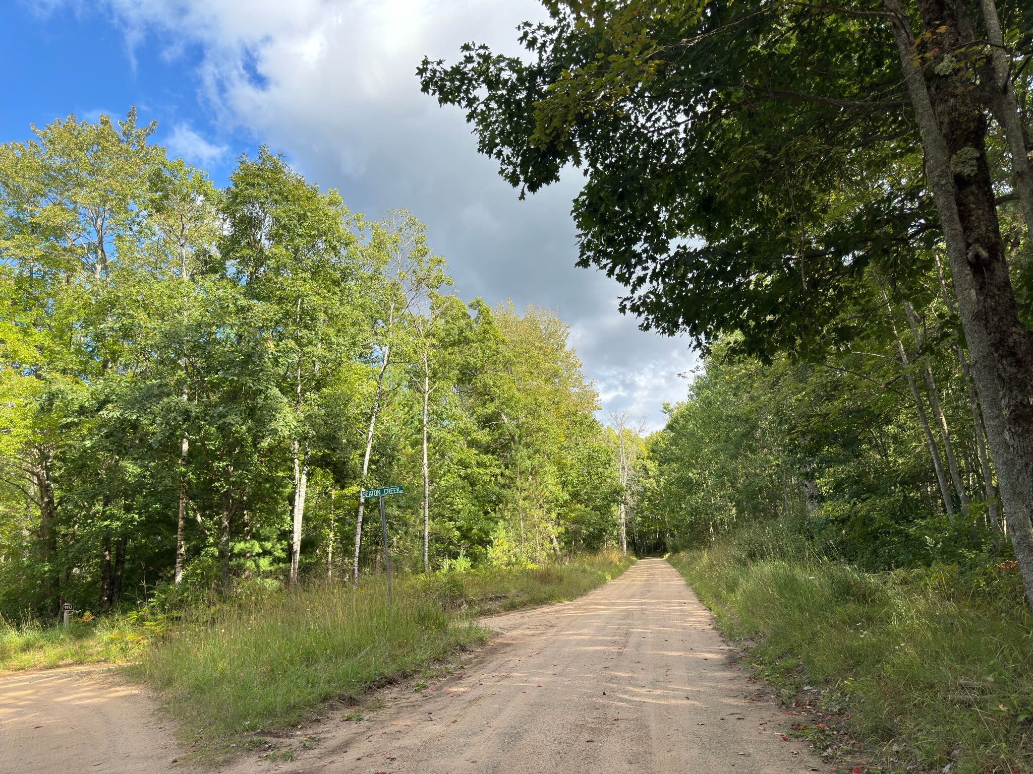 Seaton Creek - FS 9993