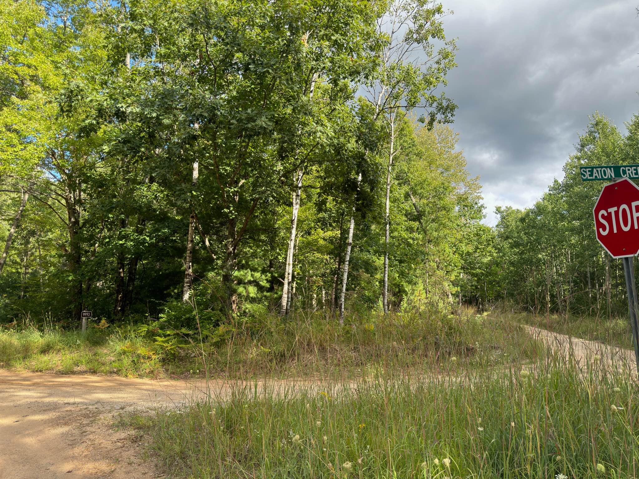 Seaton Creek - FS 9993