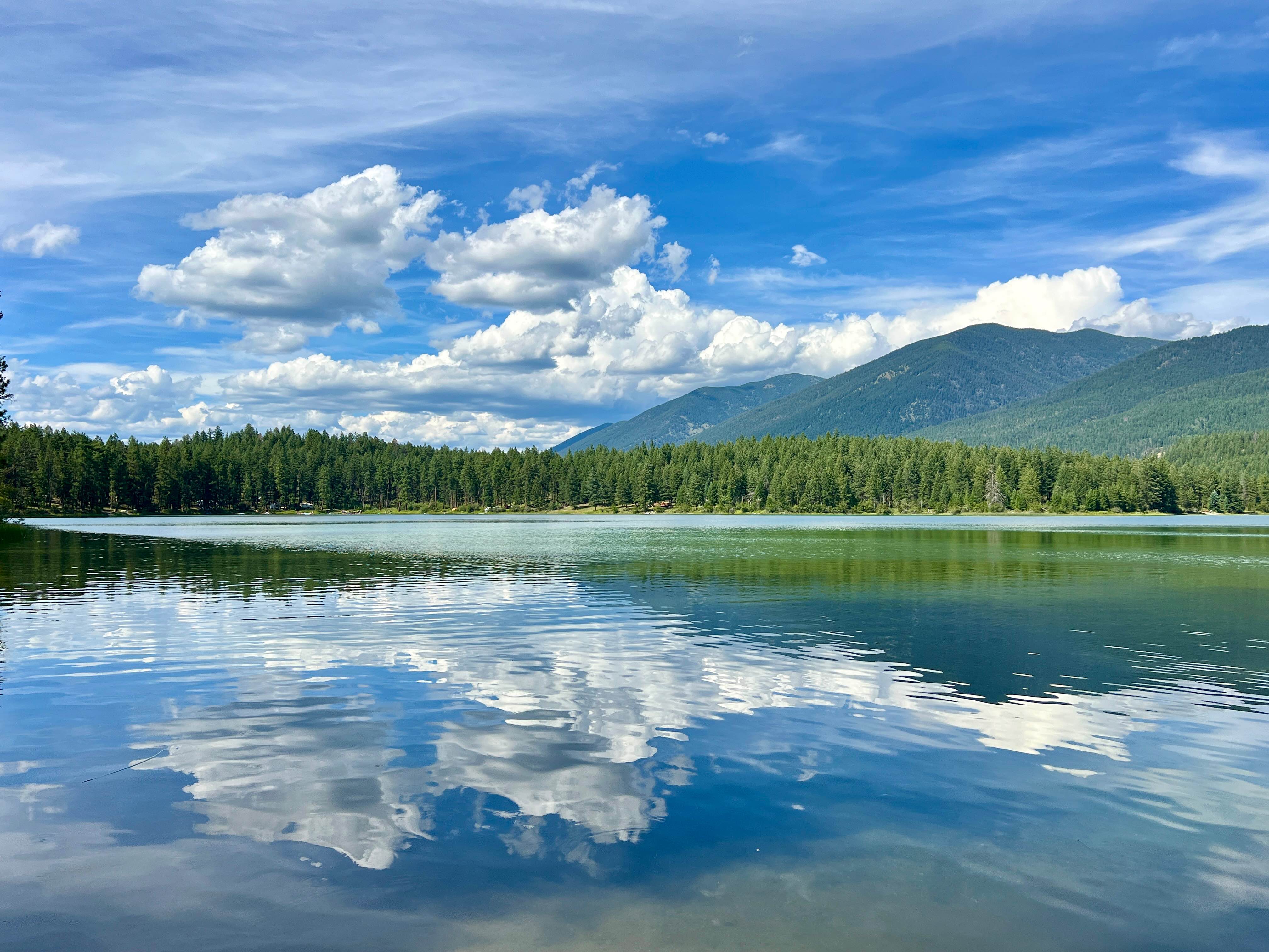 Loon Lake Recreation Area Trail