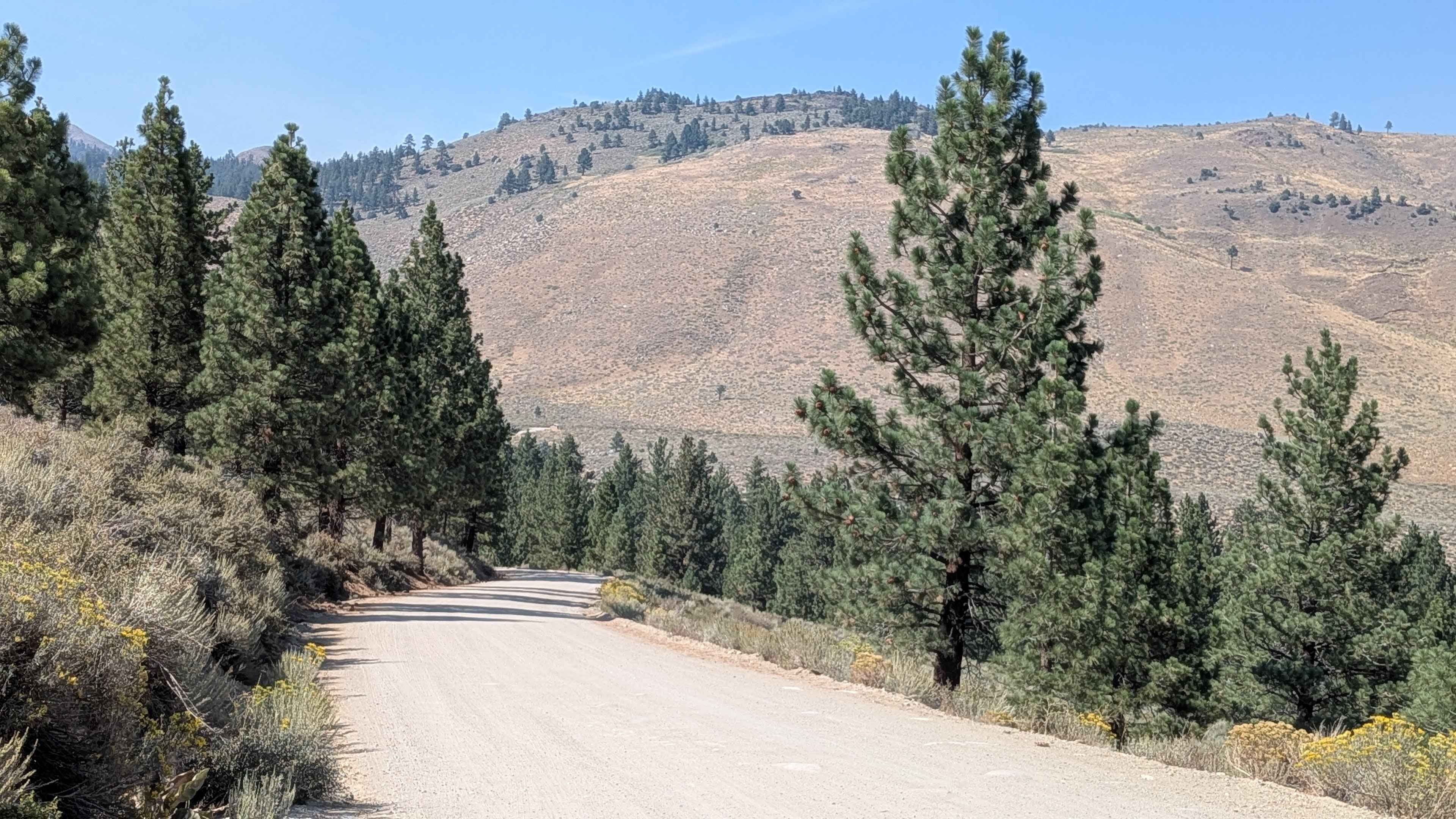 Buckeye Robinson Creek South