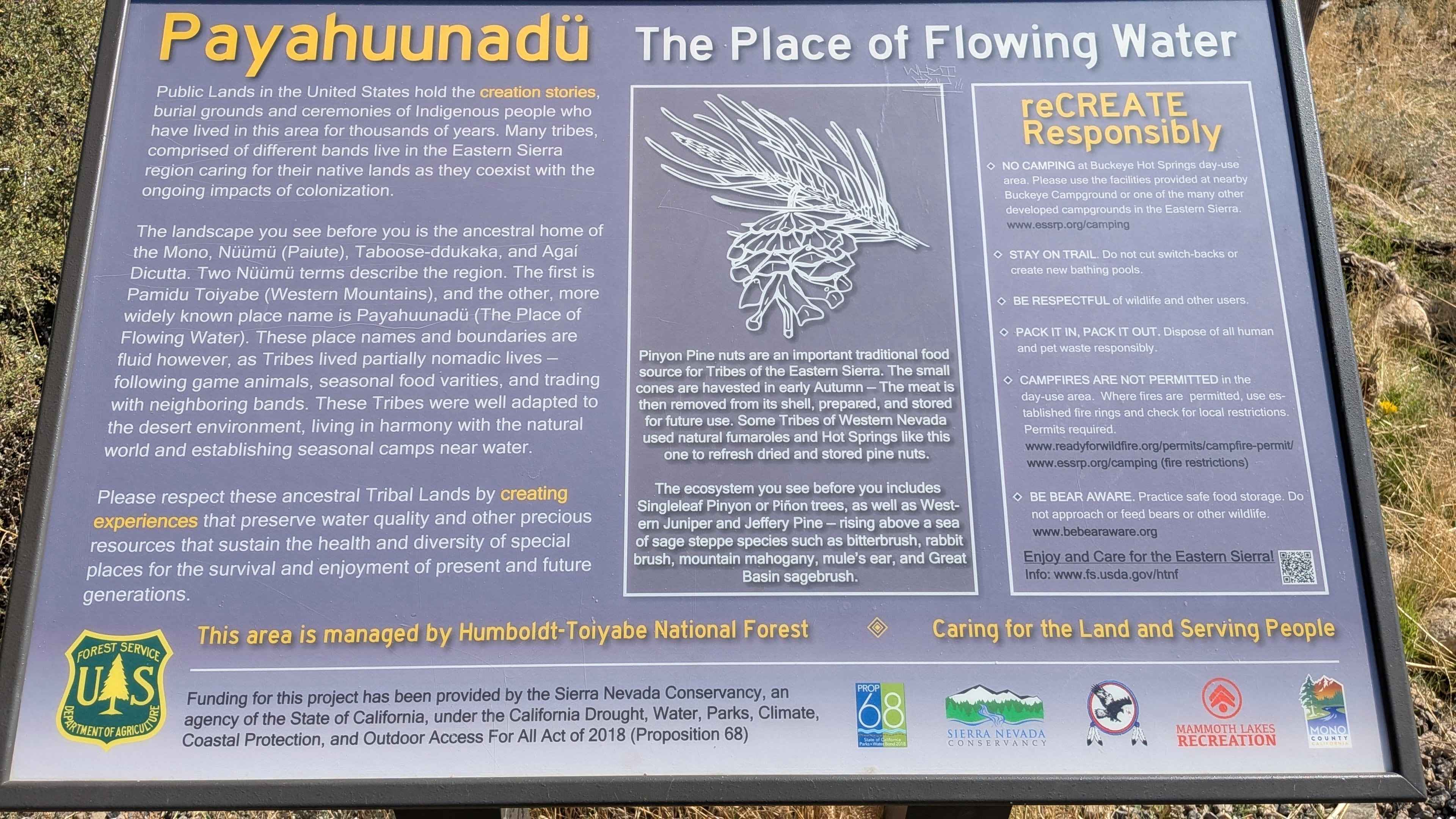 Buckeye Robinson Creek South