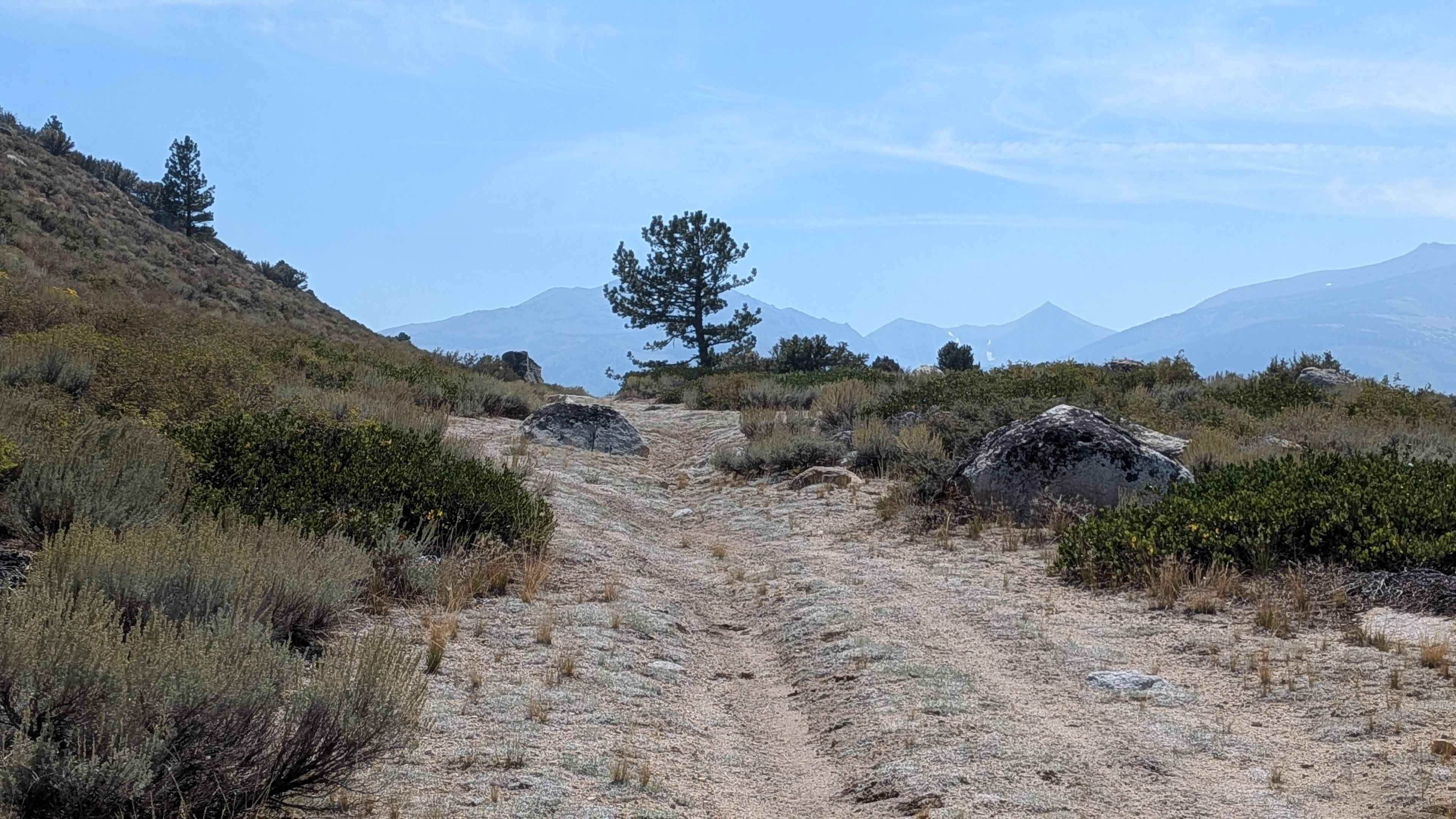 El Camino Estate Road - FS 32150