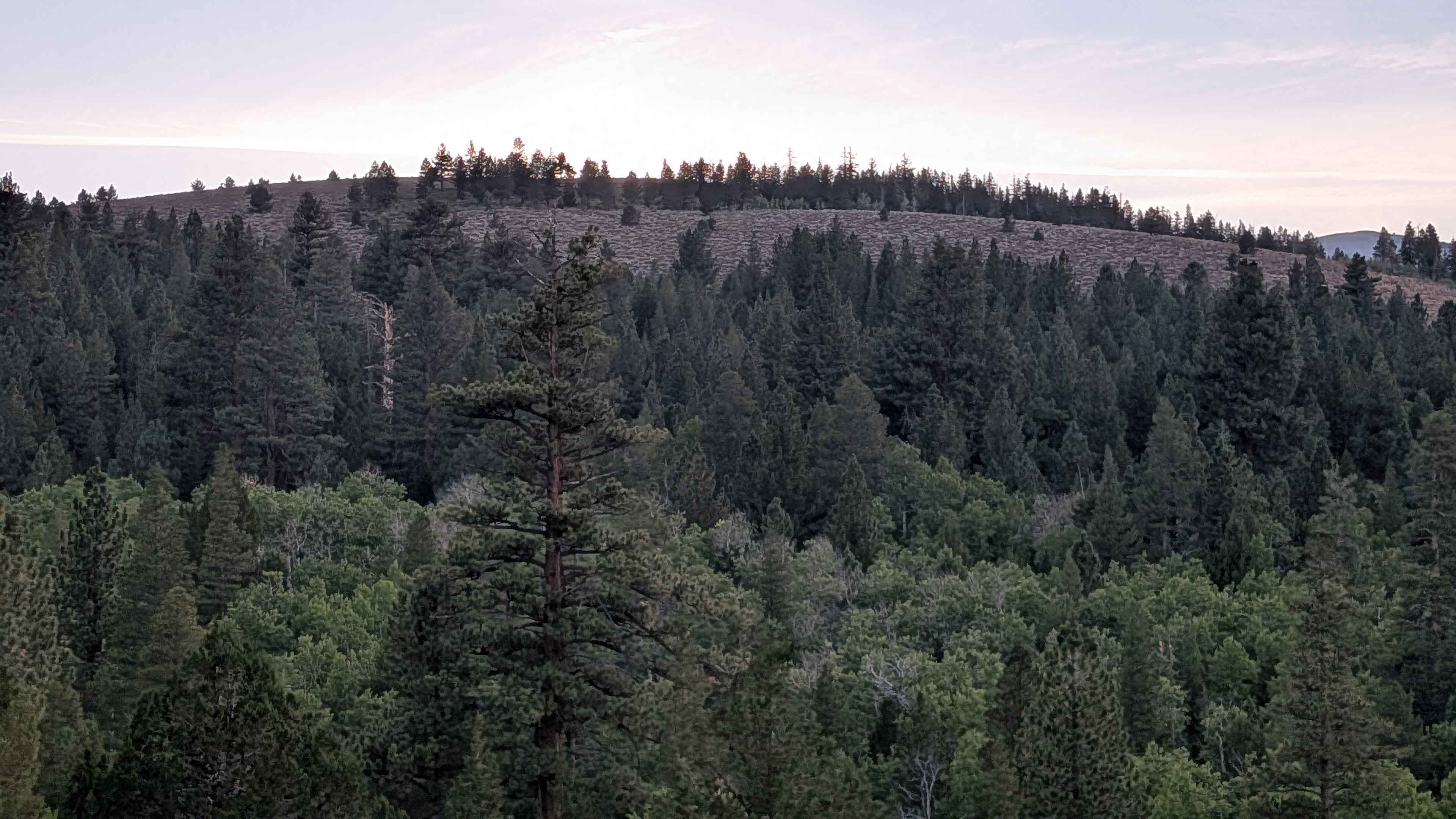 Willow Flat Road Burt Canyon - FS 32066C