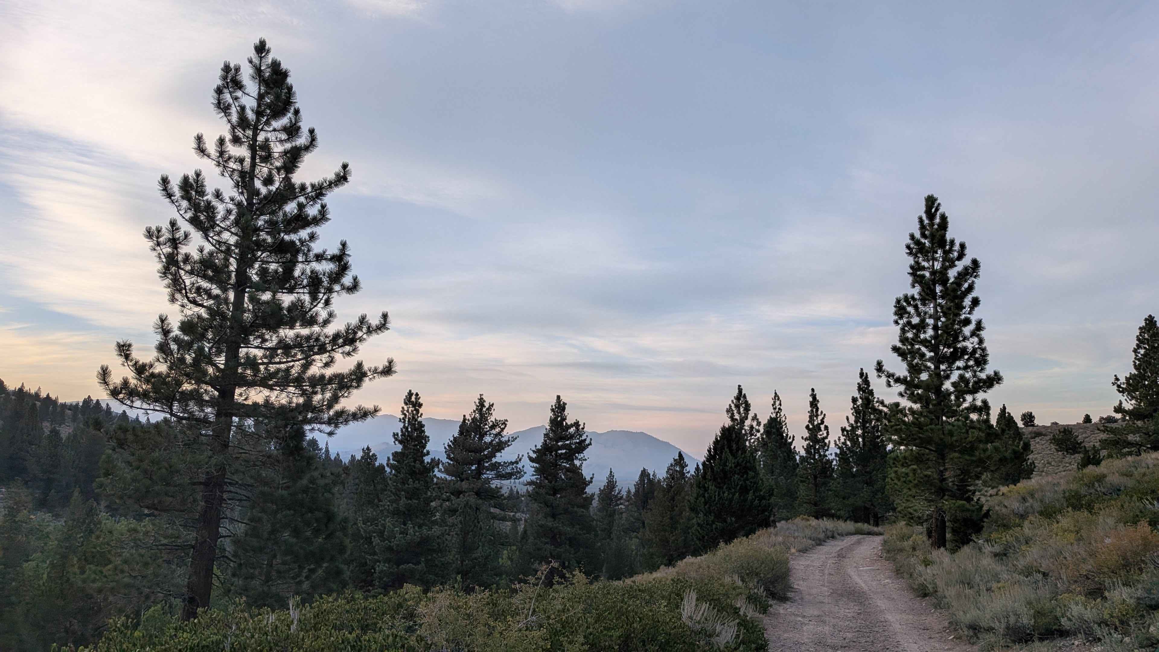 Willow Flat Road Burt Canyon - FS 32066C