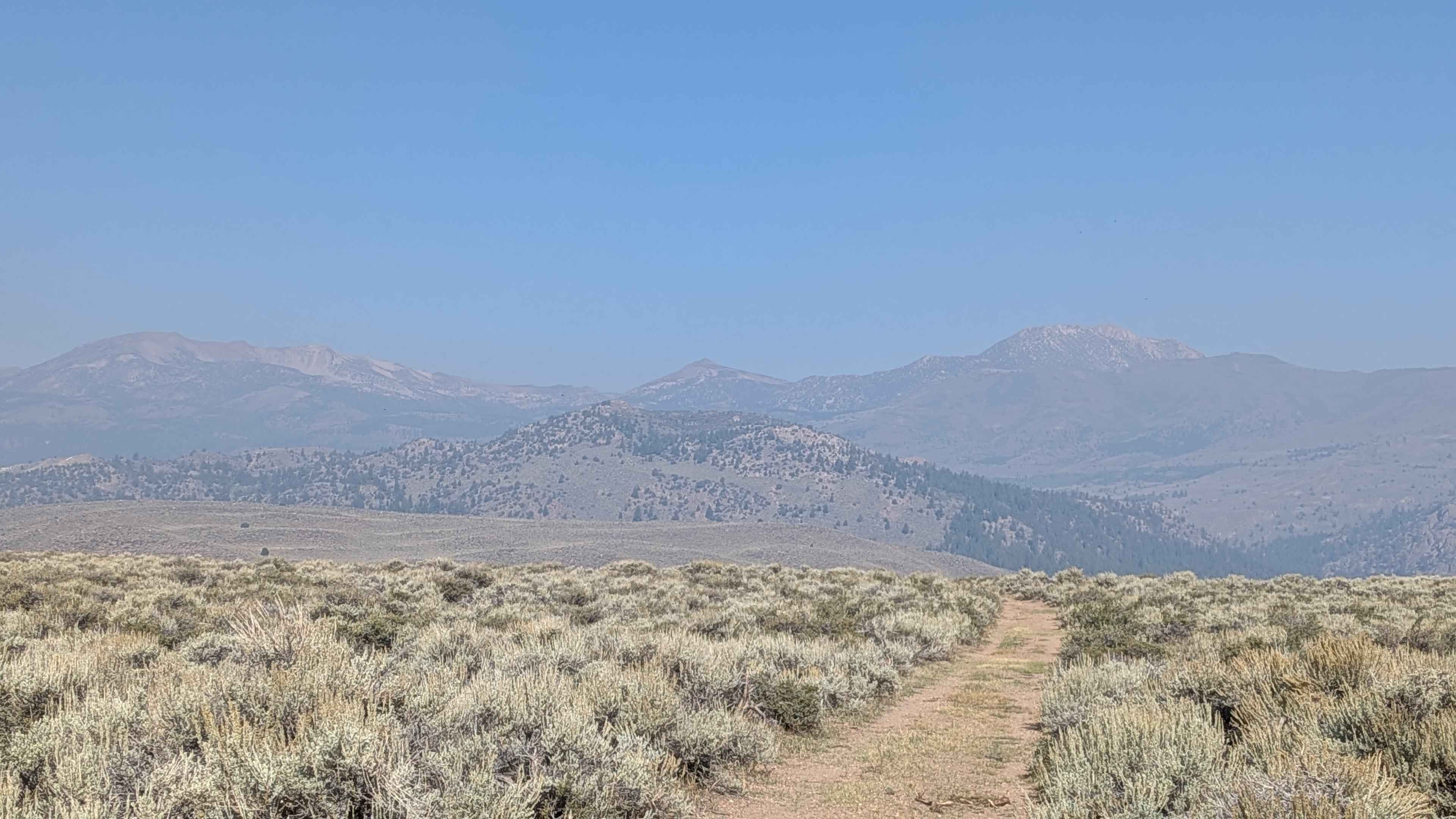 Sage Road East - FS 32066E