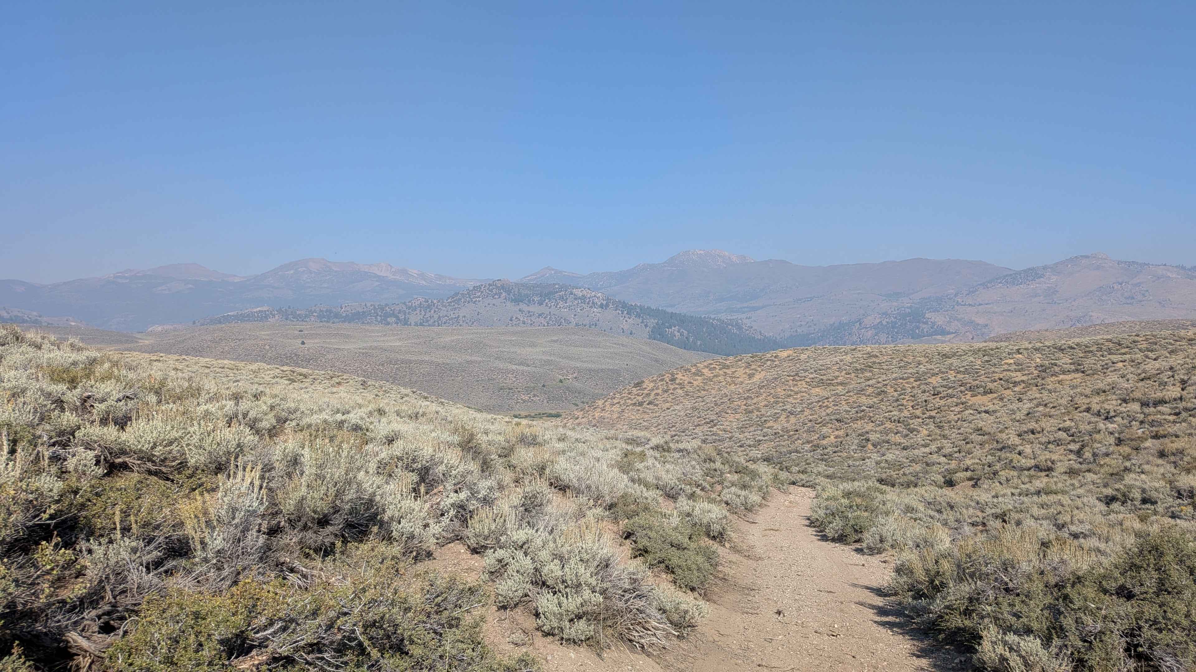 Sage Road East - FS 32066E