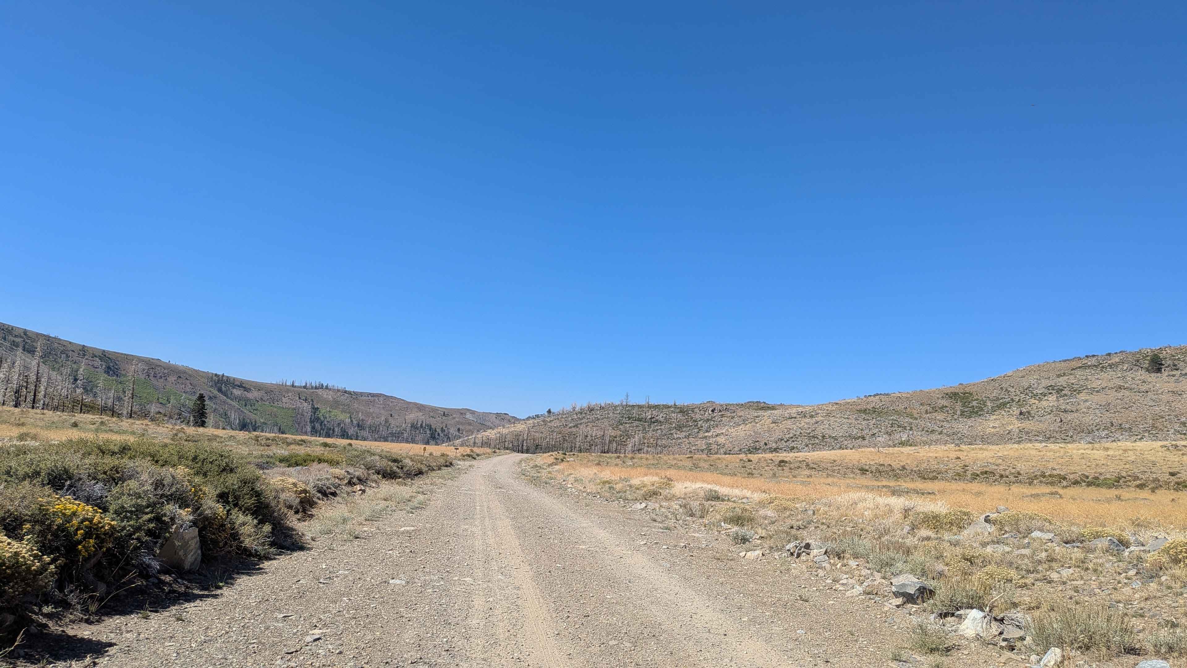 Golden Gate - FS 32399