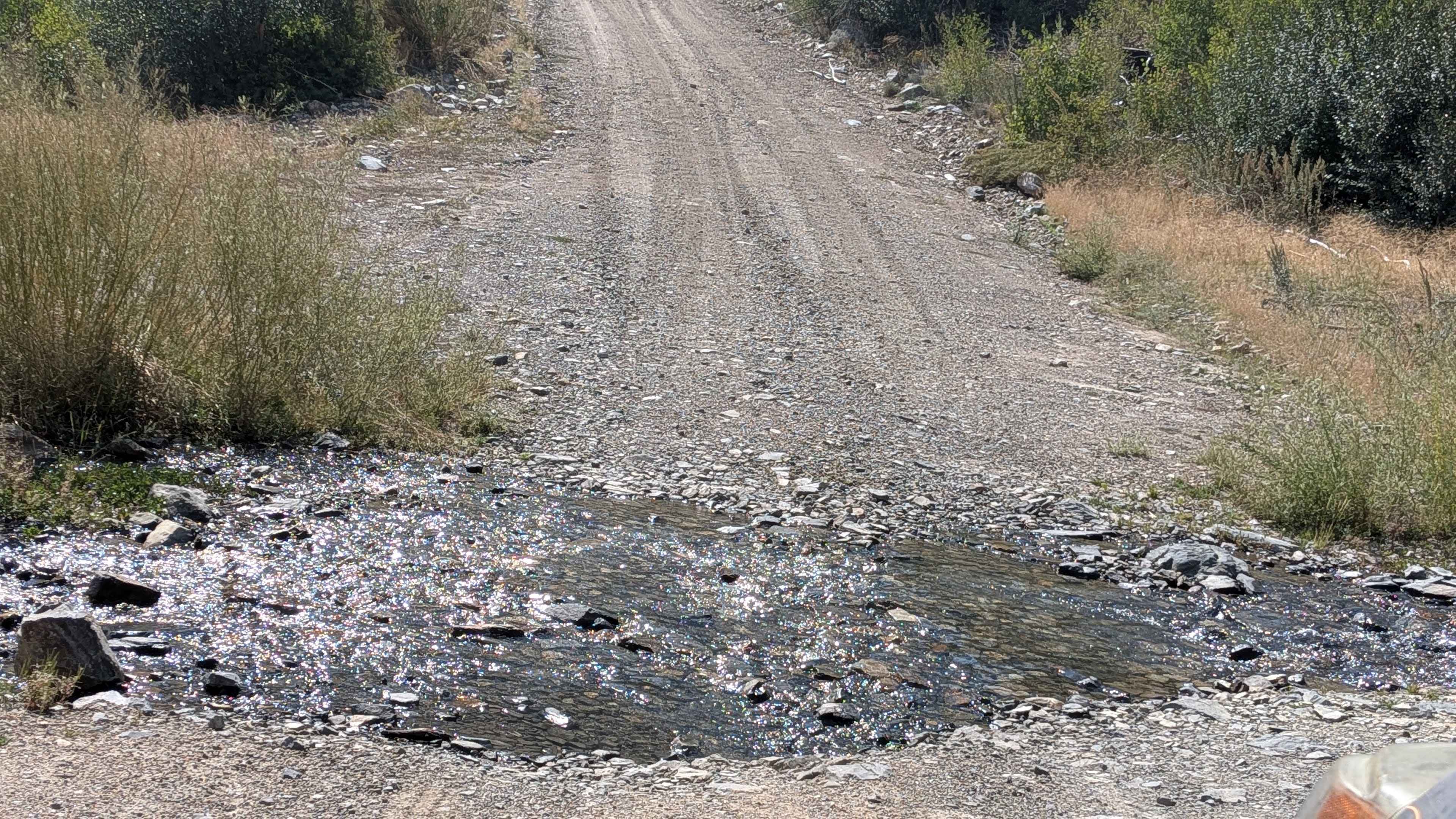 Golden Gate - FS 32399