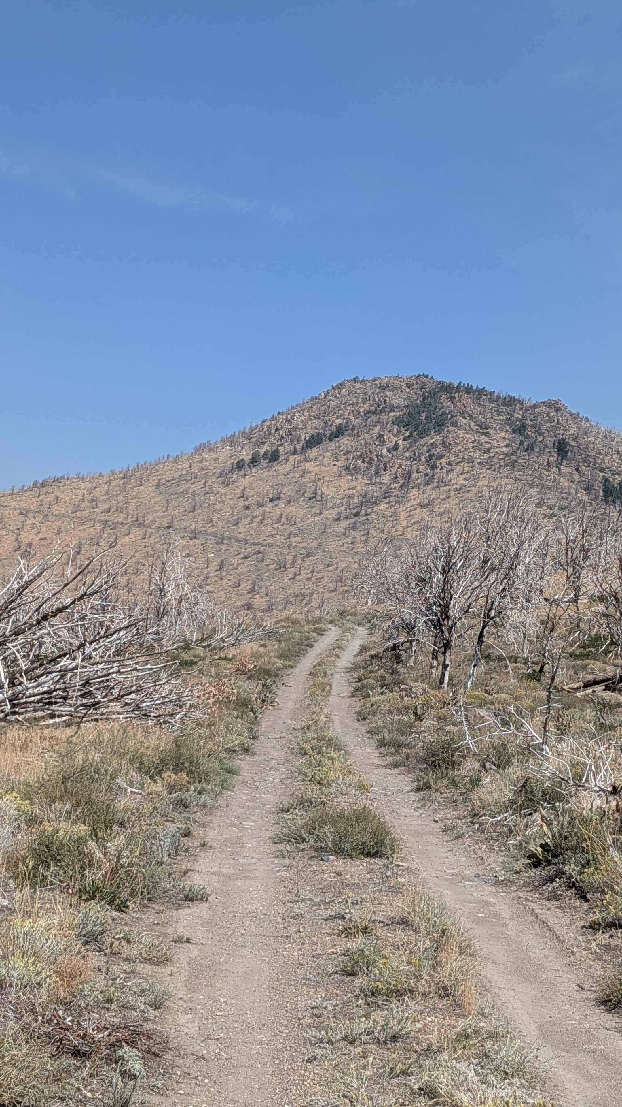 Napoleon Canyon Road - FS 32092