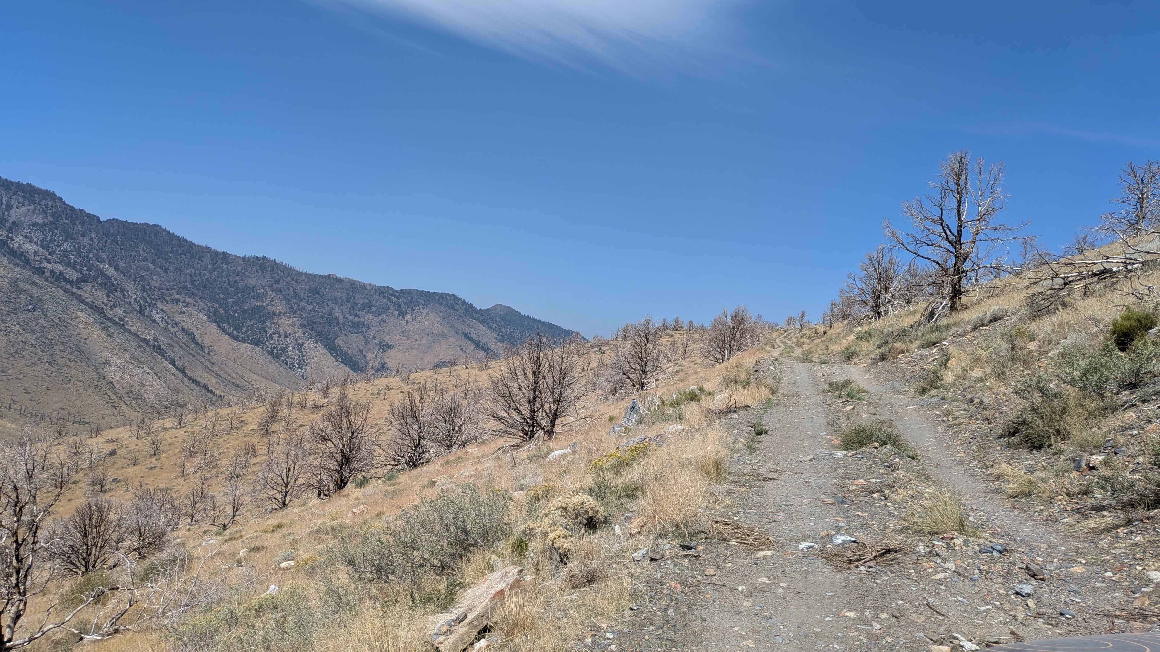 Napoleon Canyon Road - FS 32092