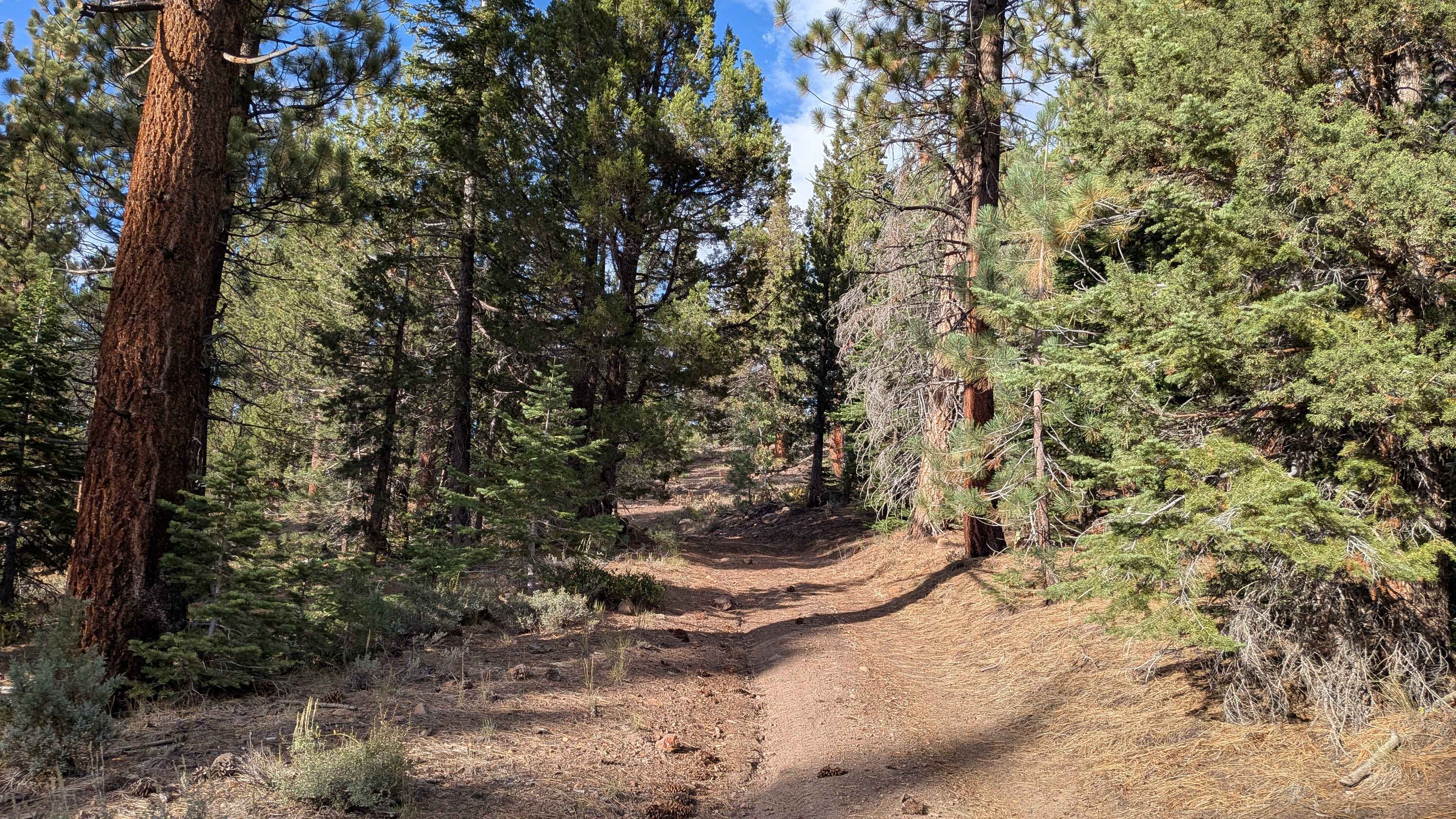 High Peak Road - FS 31050