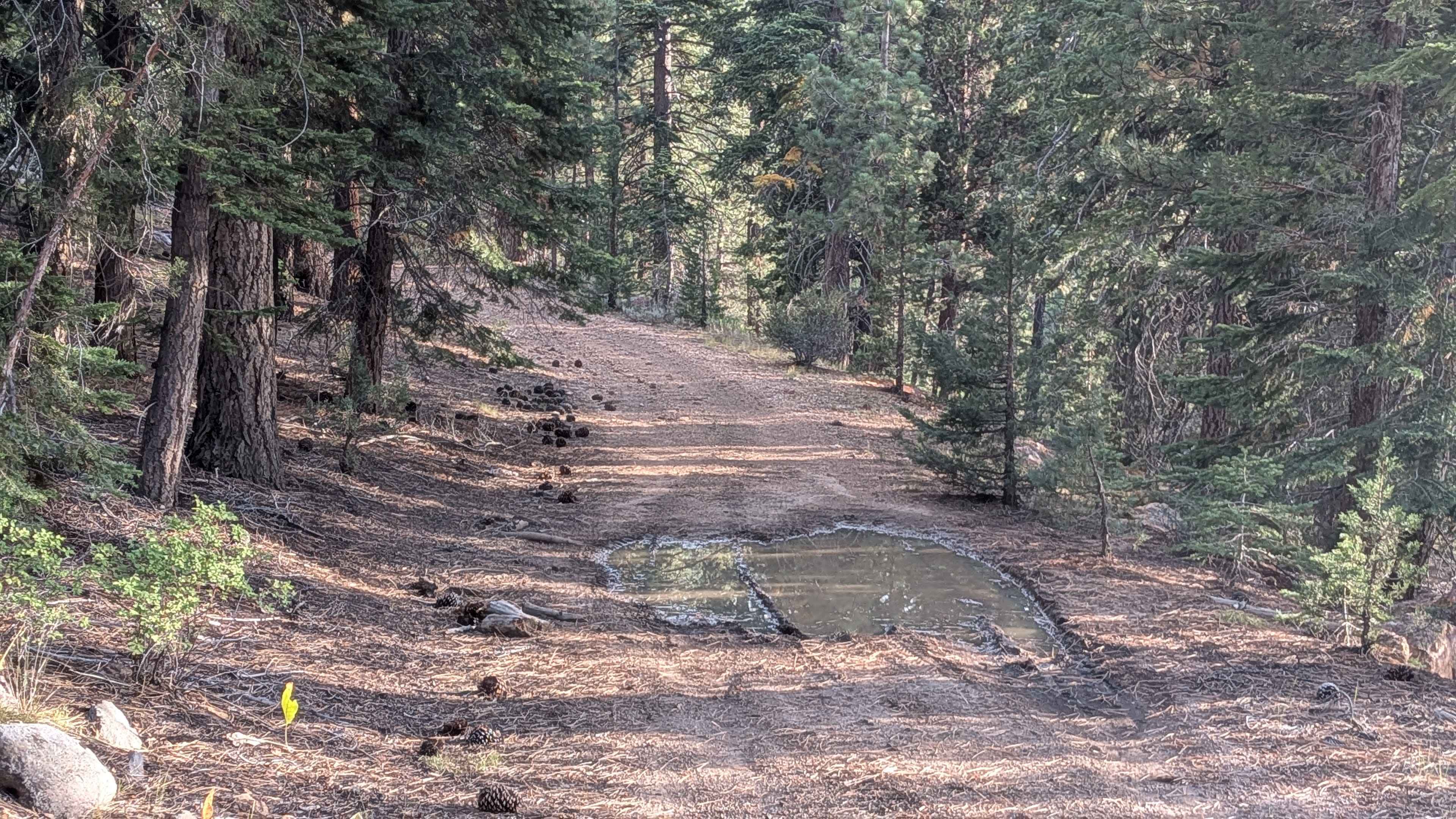 High Peak Road - FS 31050