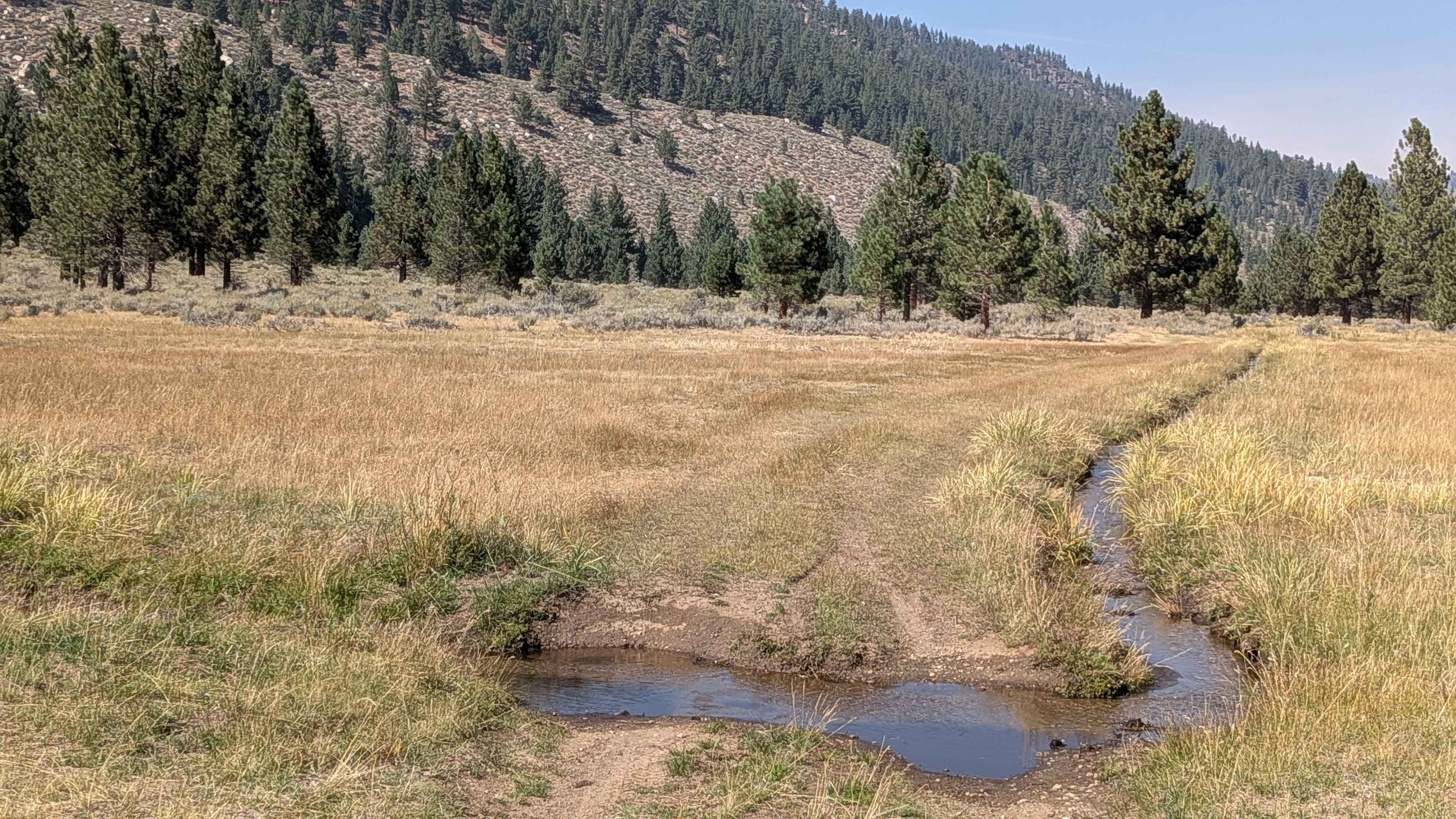 LaBrosse Creek Road - FS 32176