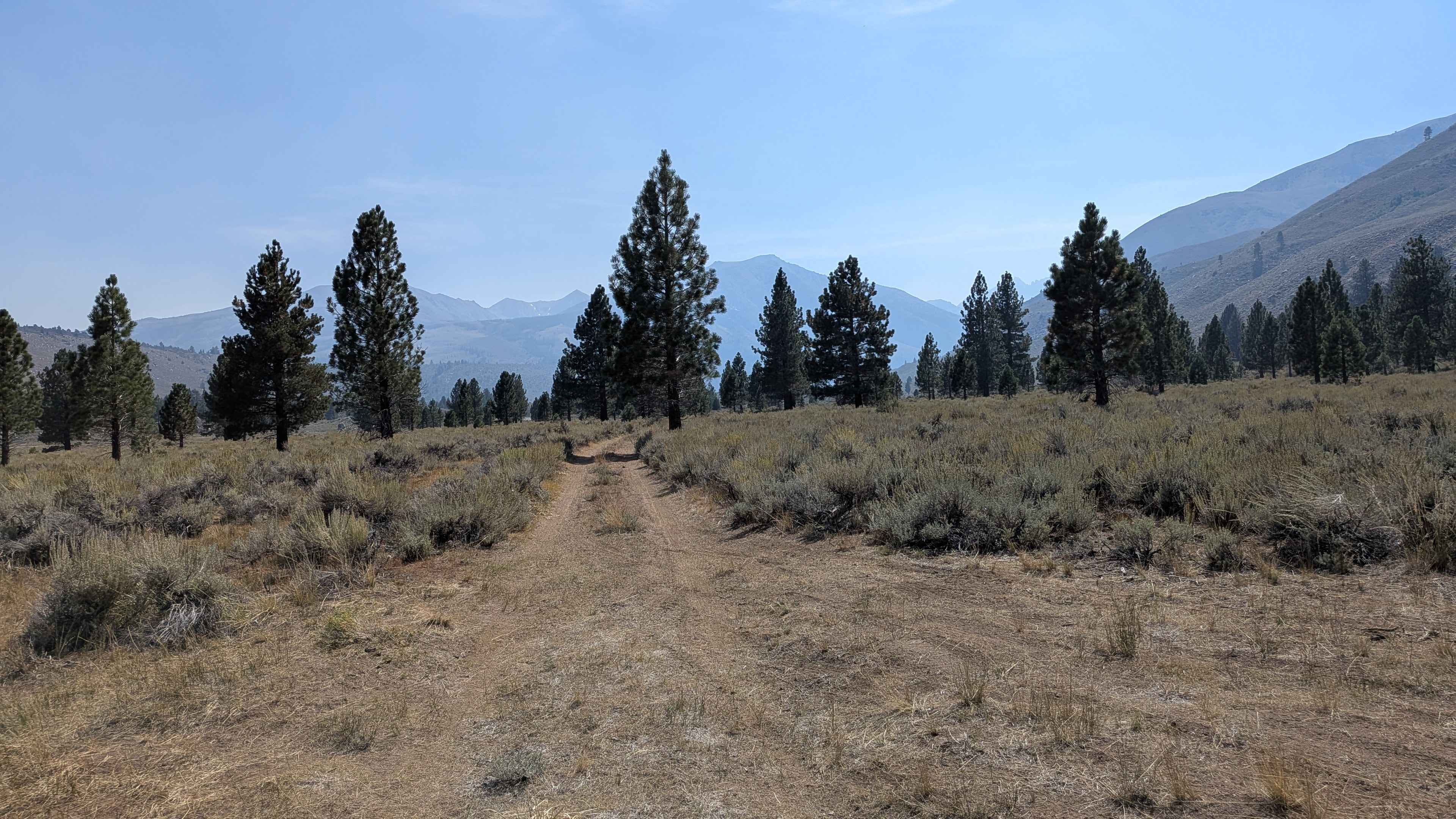 LaBrosse Creek Road - FS 32176
