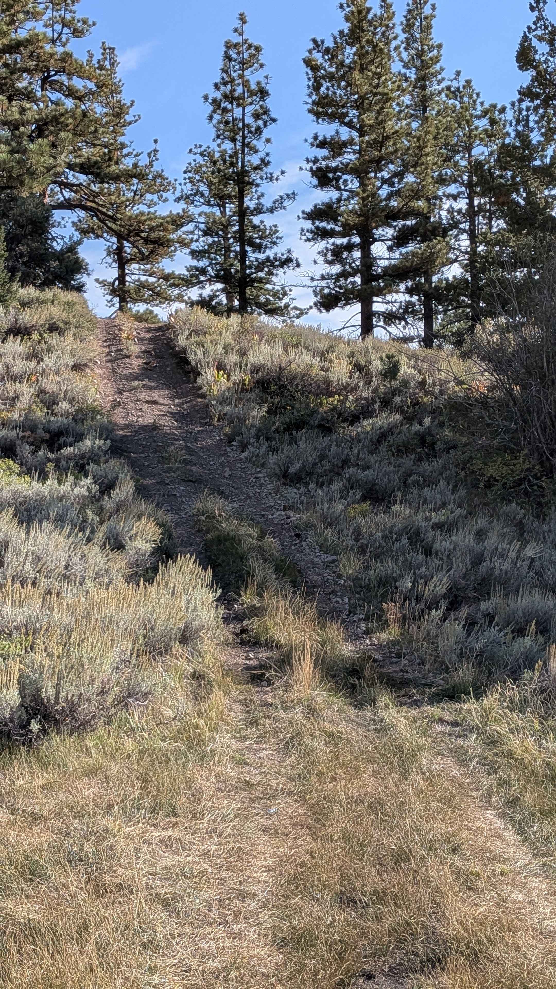 Water Tank Spur - FS 31347