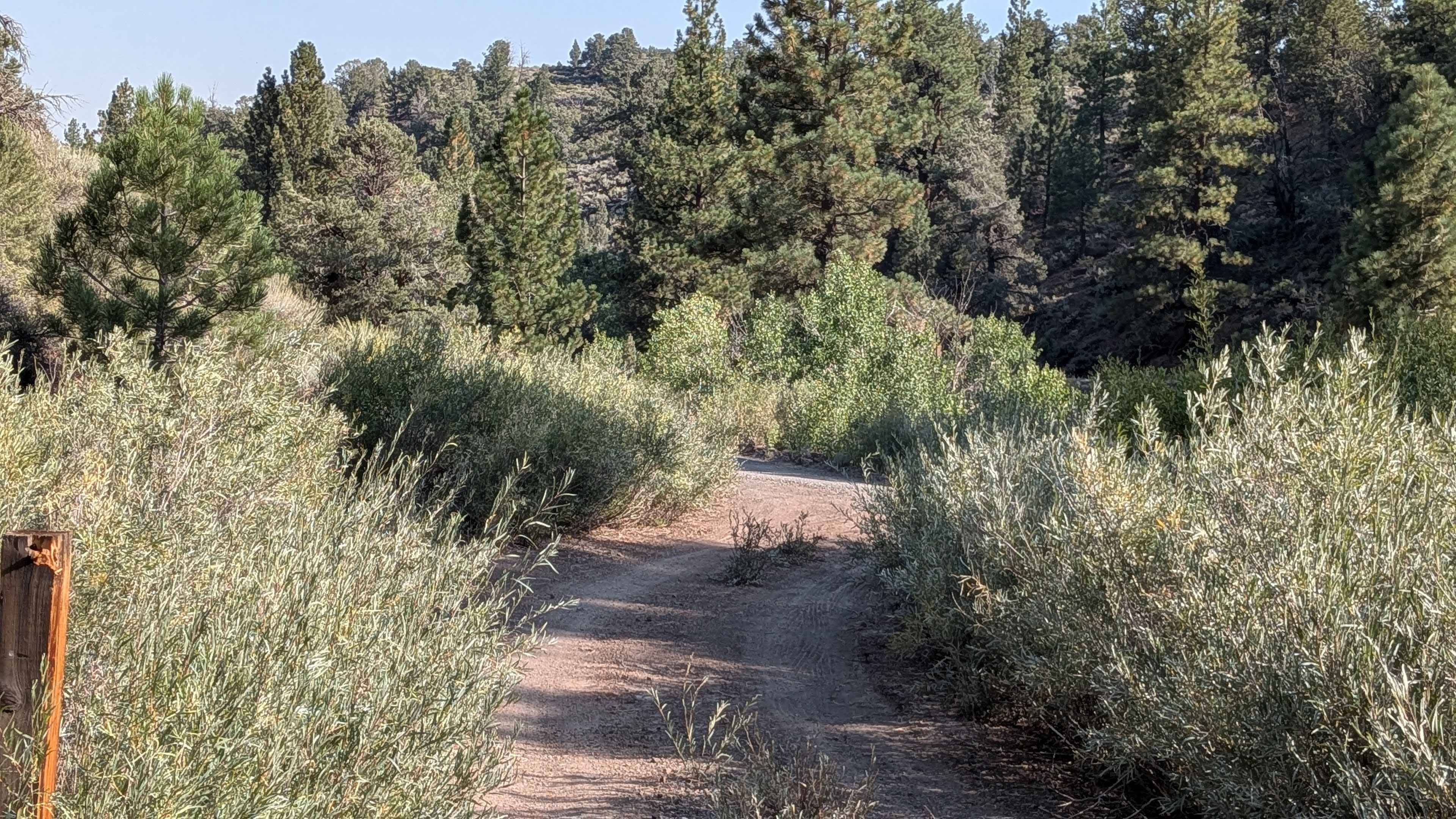 By Day Creek - FS 32076