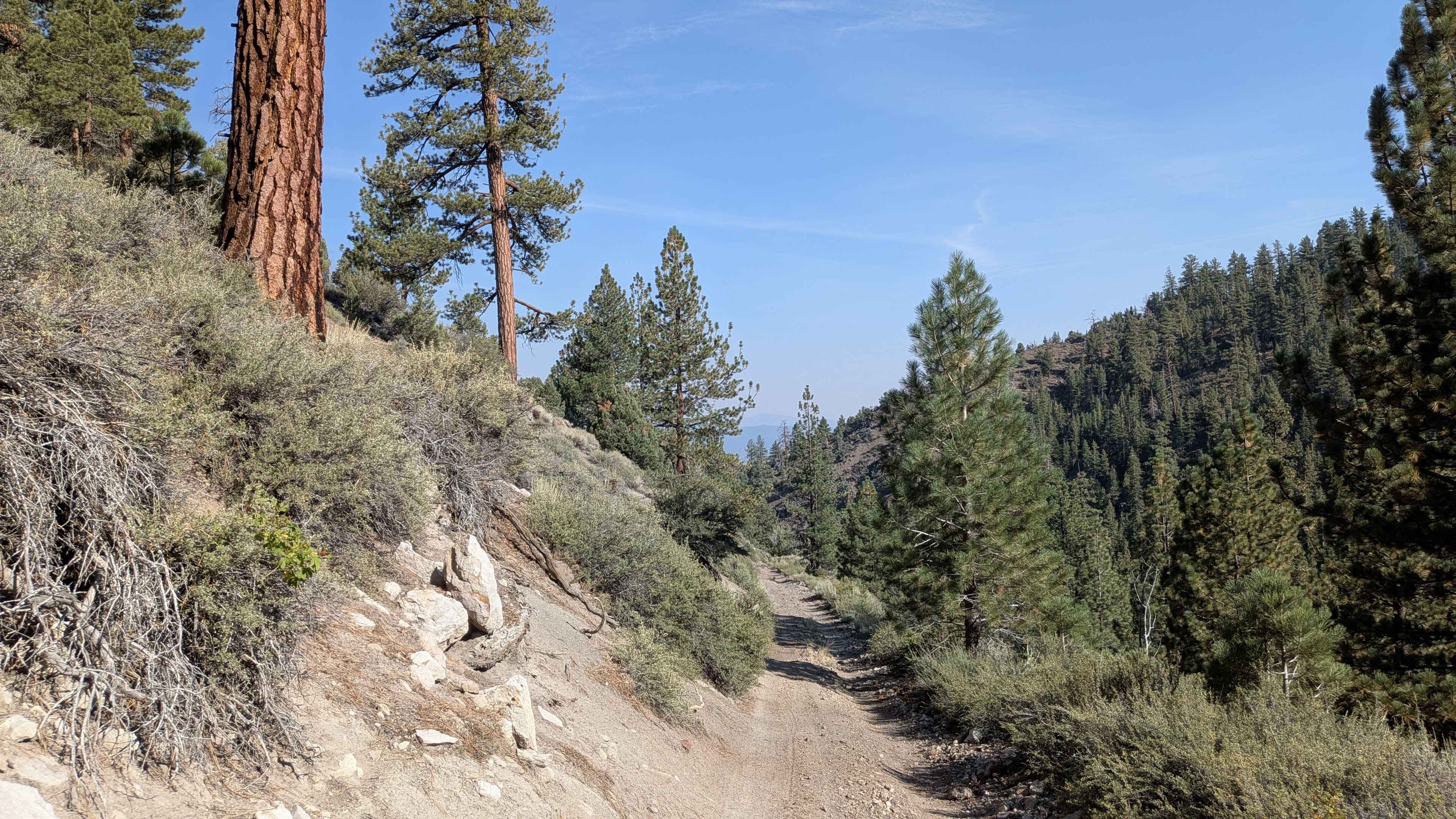 By Day Creek - FS 32076