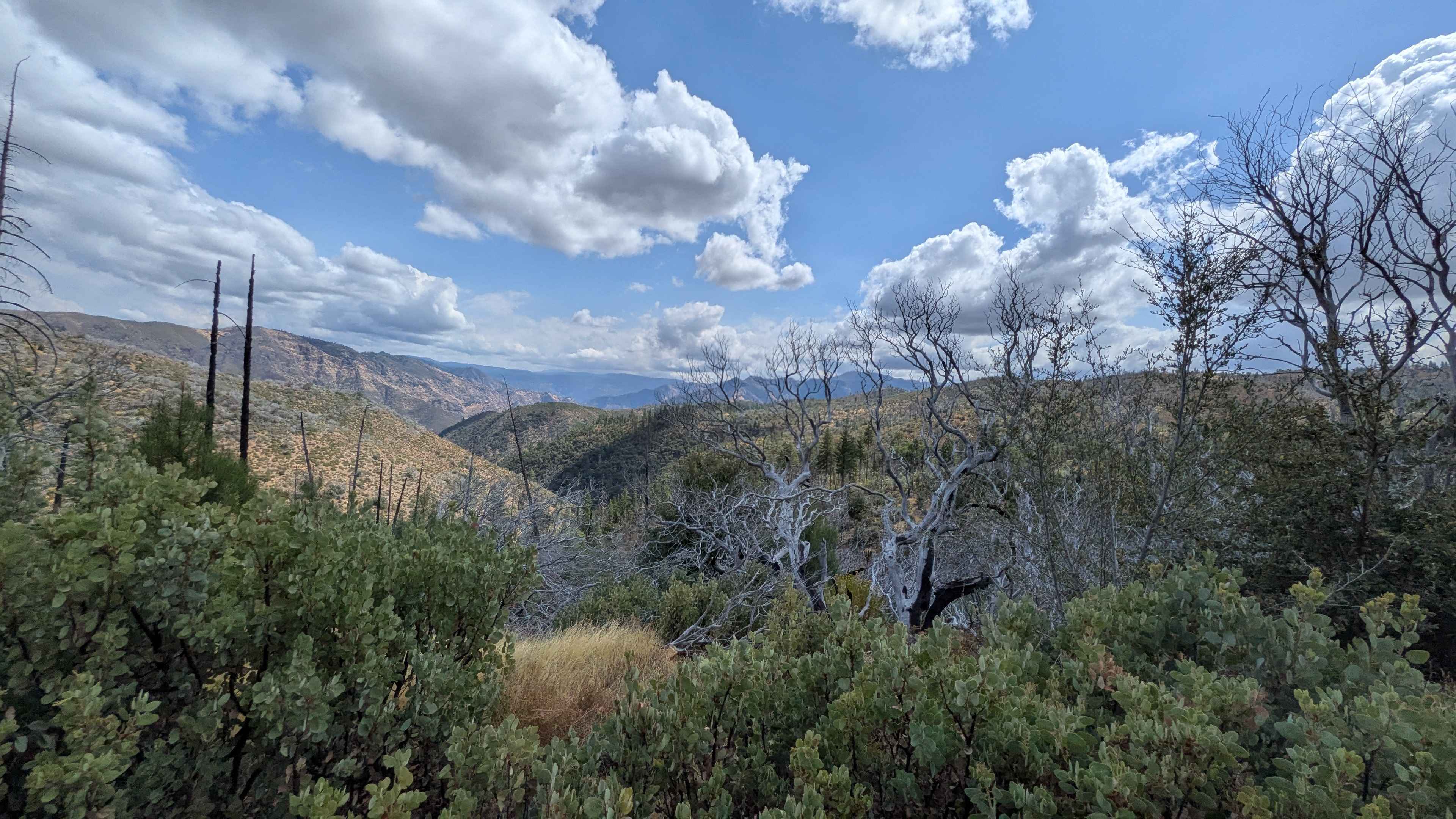 Ferguson Gulch - FS 3S023
