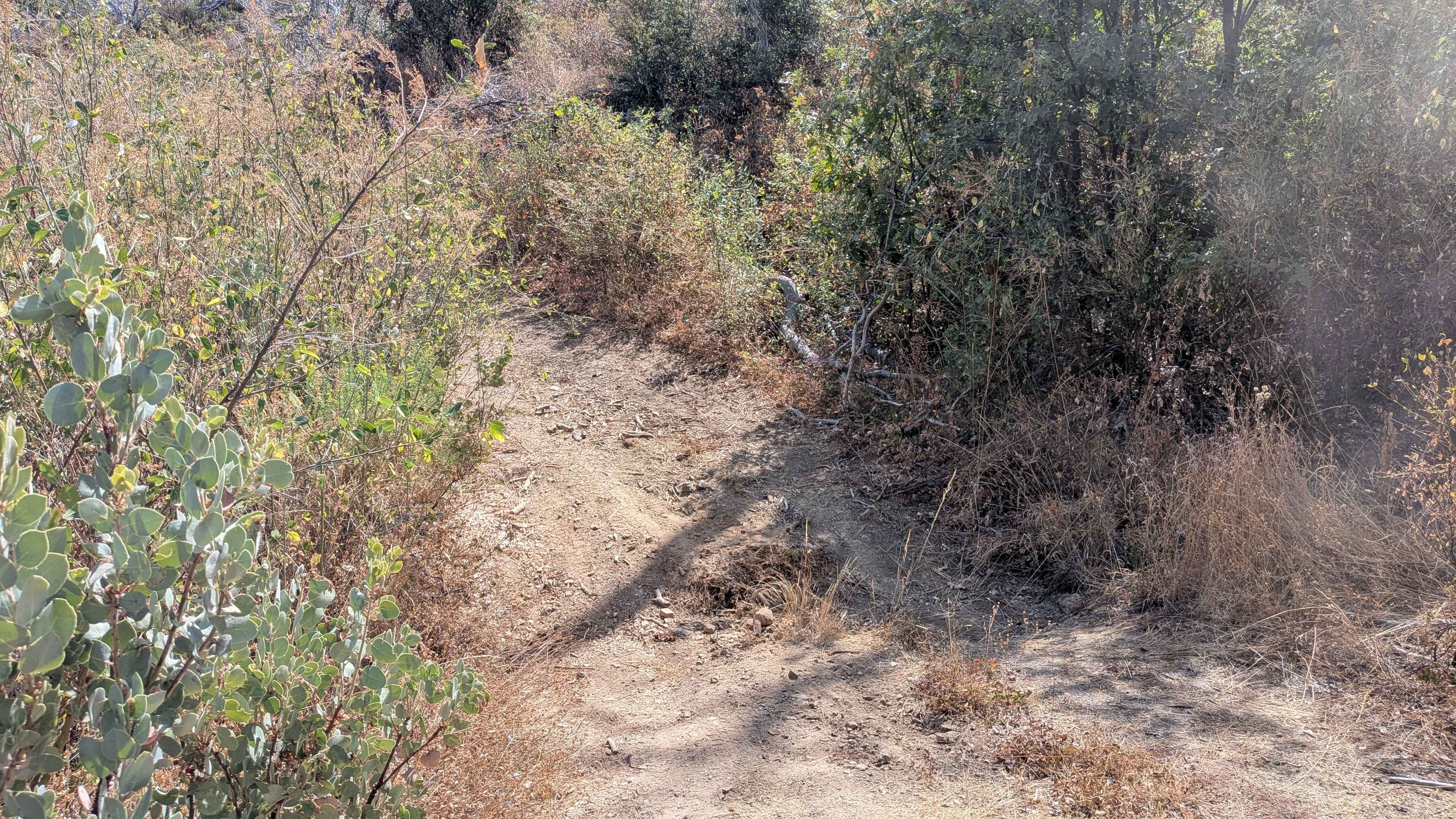 Ferguson Gulch - FS 3S023