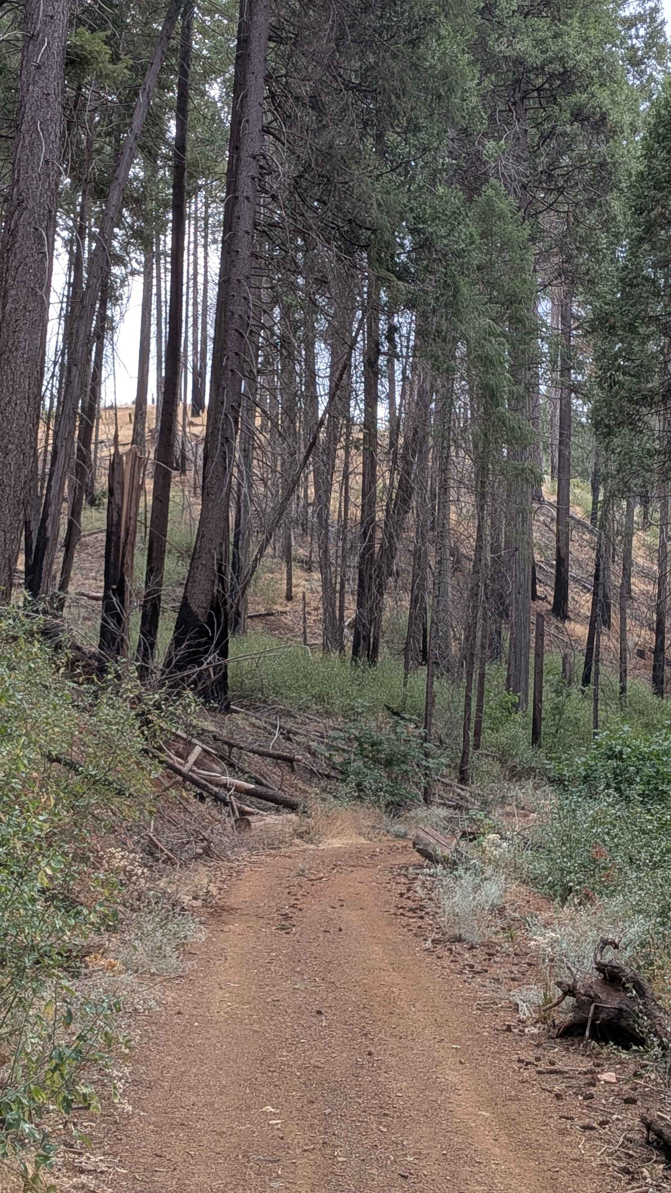 Ferguson Ridge - FS 3S004