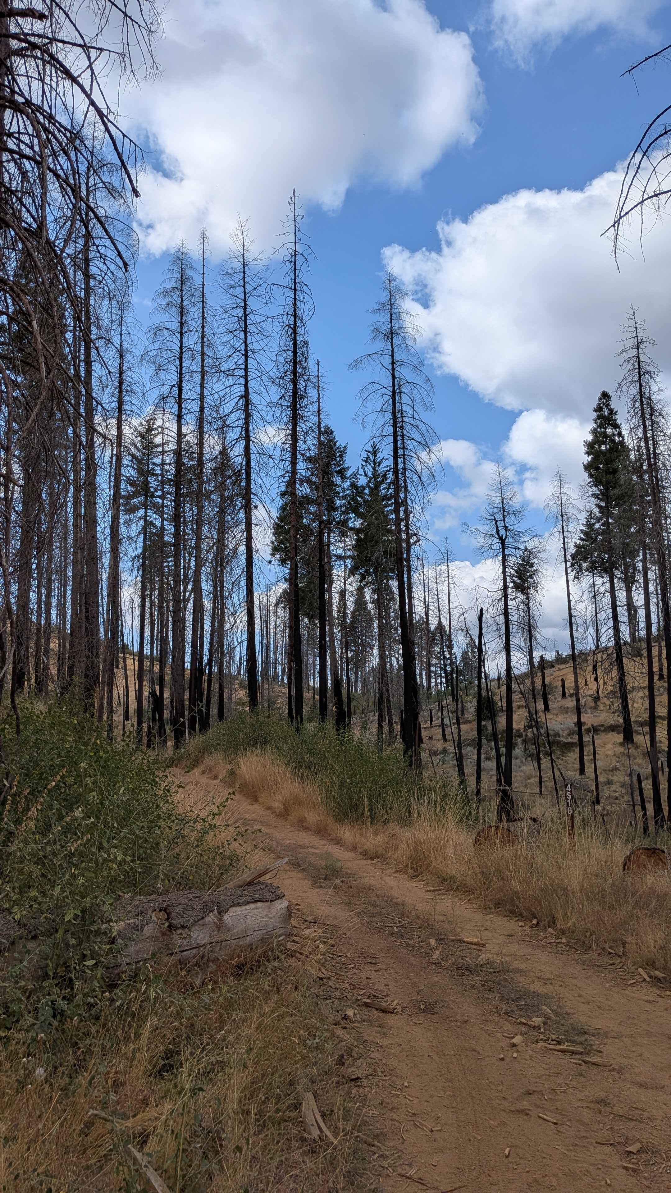 Ferguson Ridge - FS 3S004