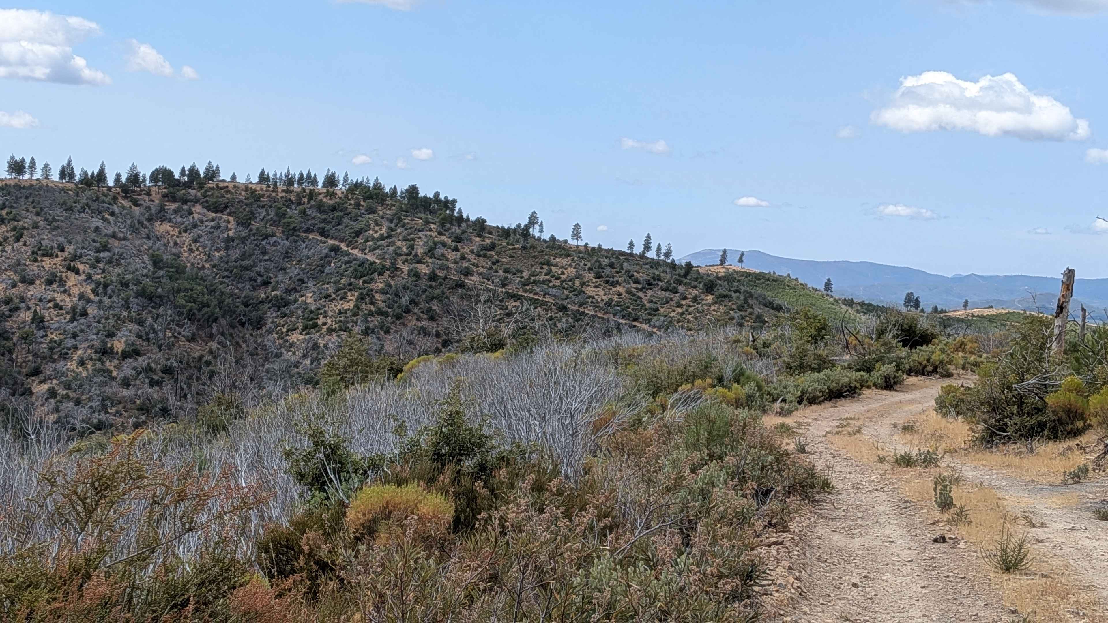 Gimasol Ridge - FS 3S007