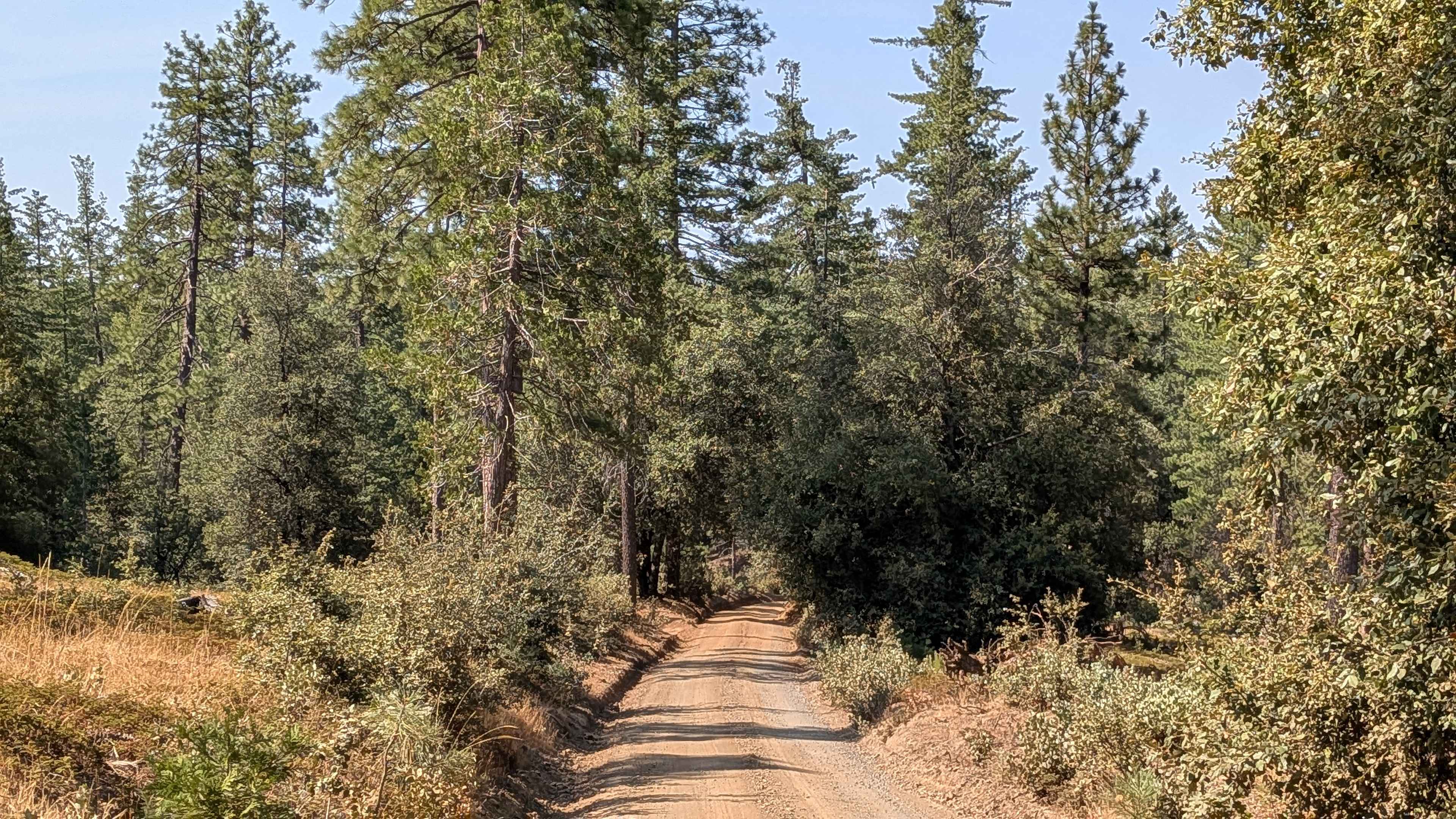 Boneyard Road - FS 1S07