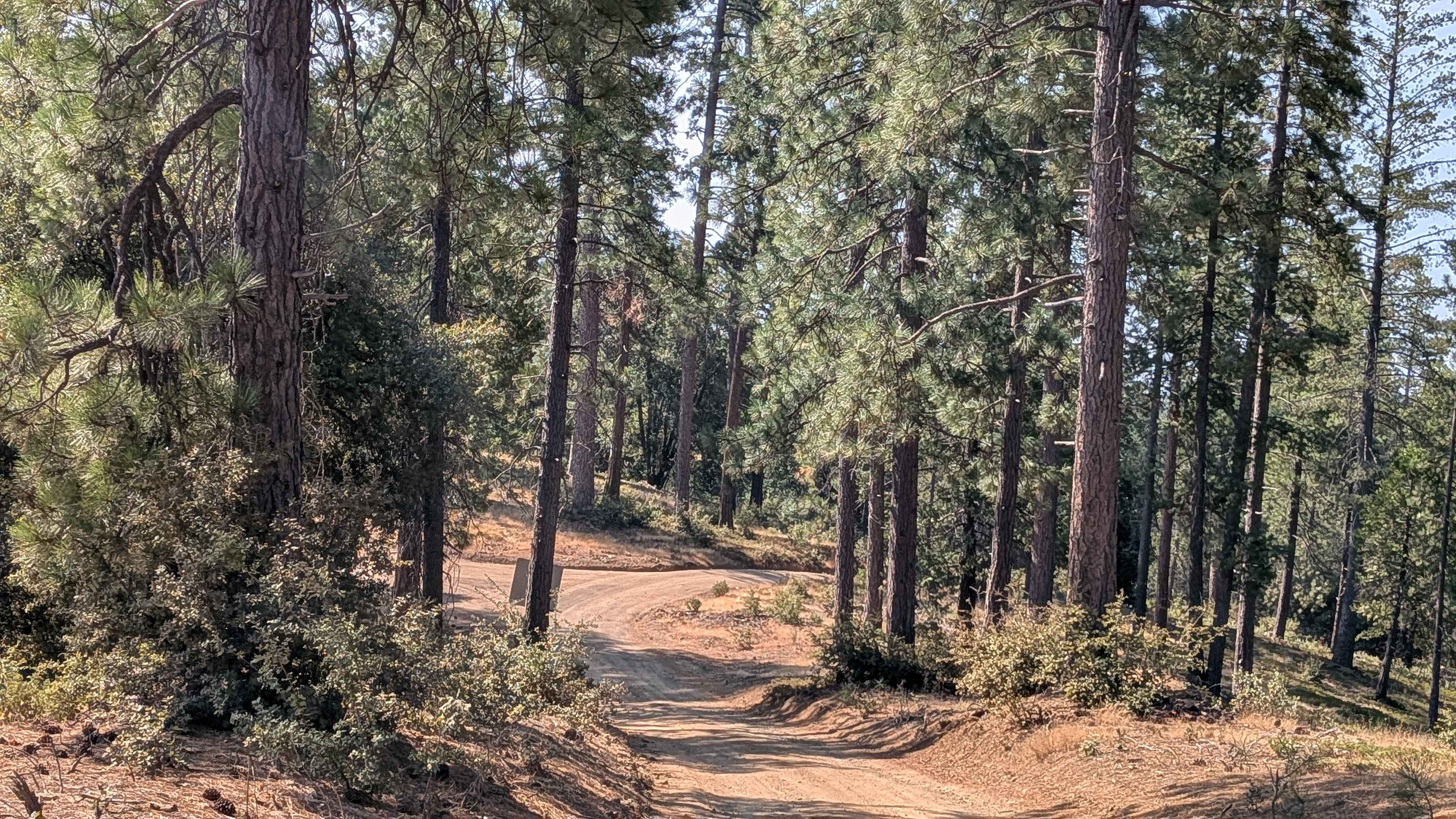 Boneyard Road - FS 1S07