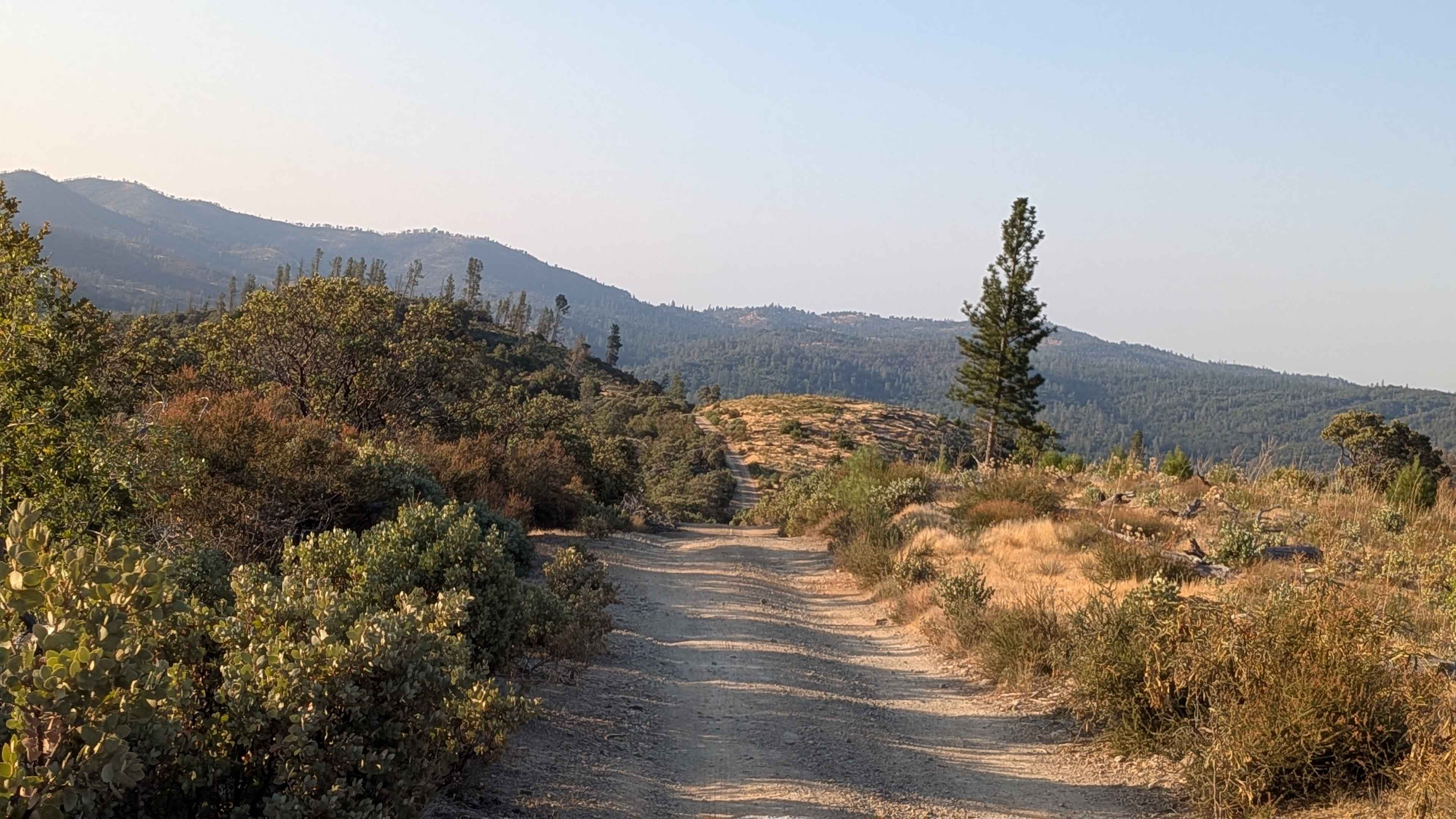 Feliciana Mountain Road - FS 4S012