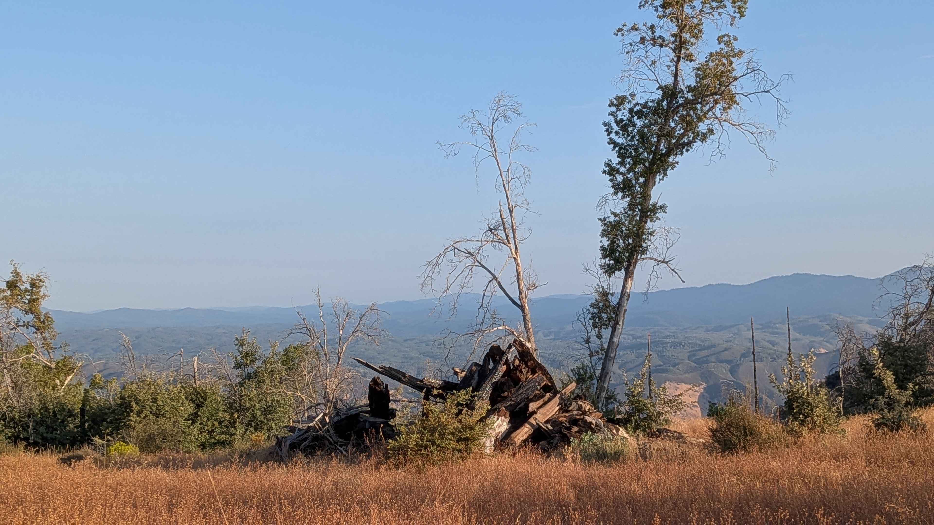 Feliciana Mountain Road - FS 4S012