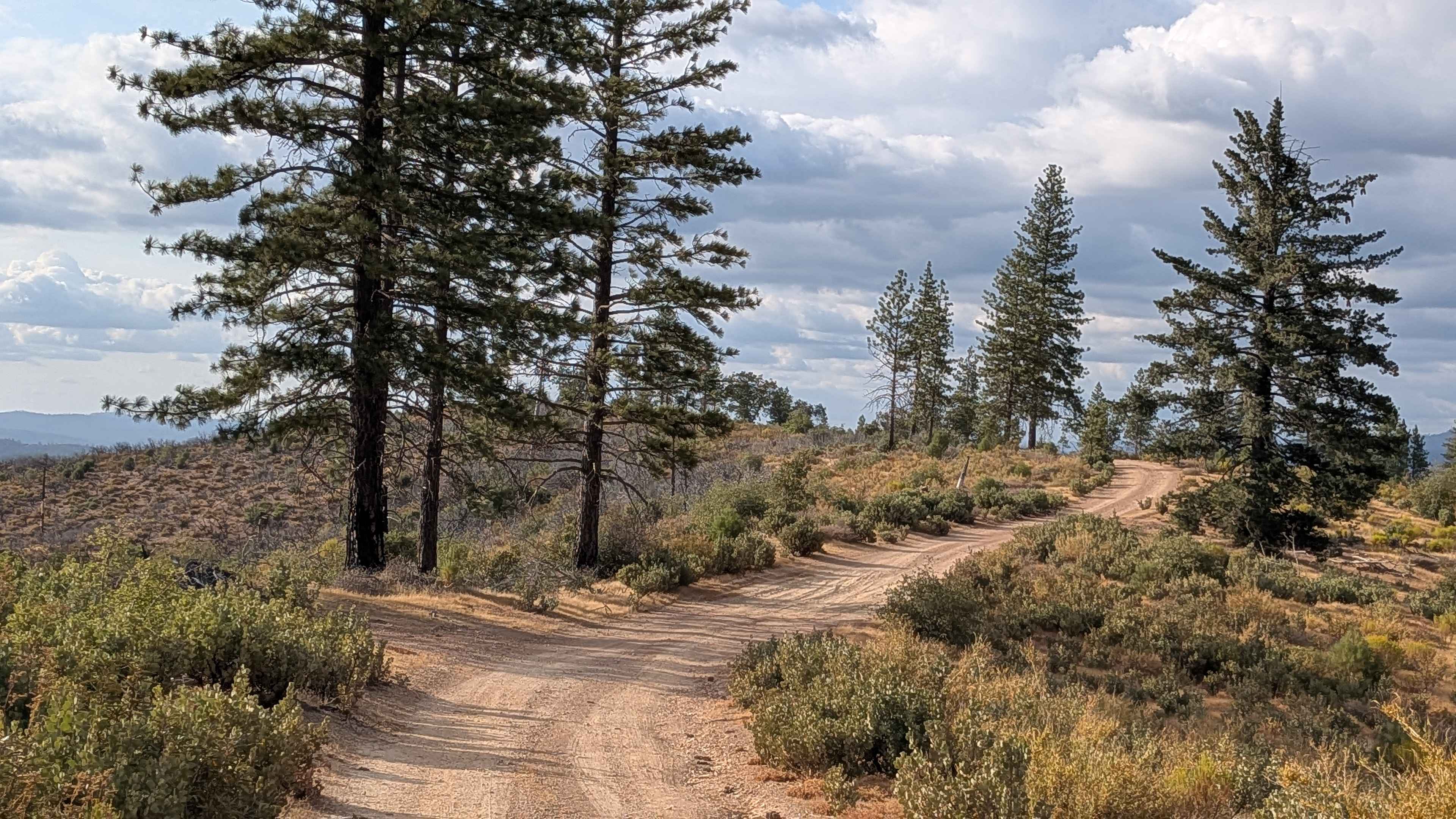 Buffalo Gulch - FS 4S11