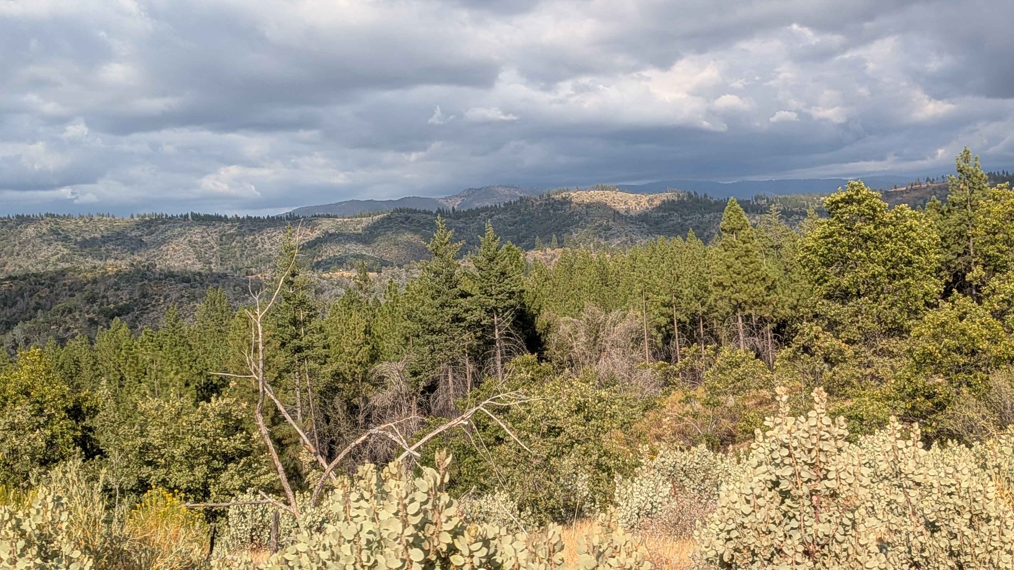 Buffalo Gulch - FS 4S11