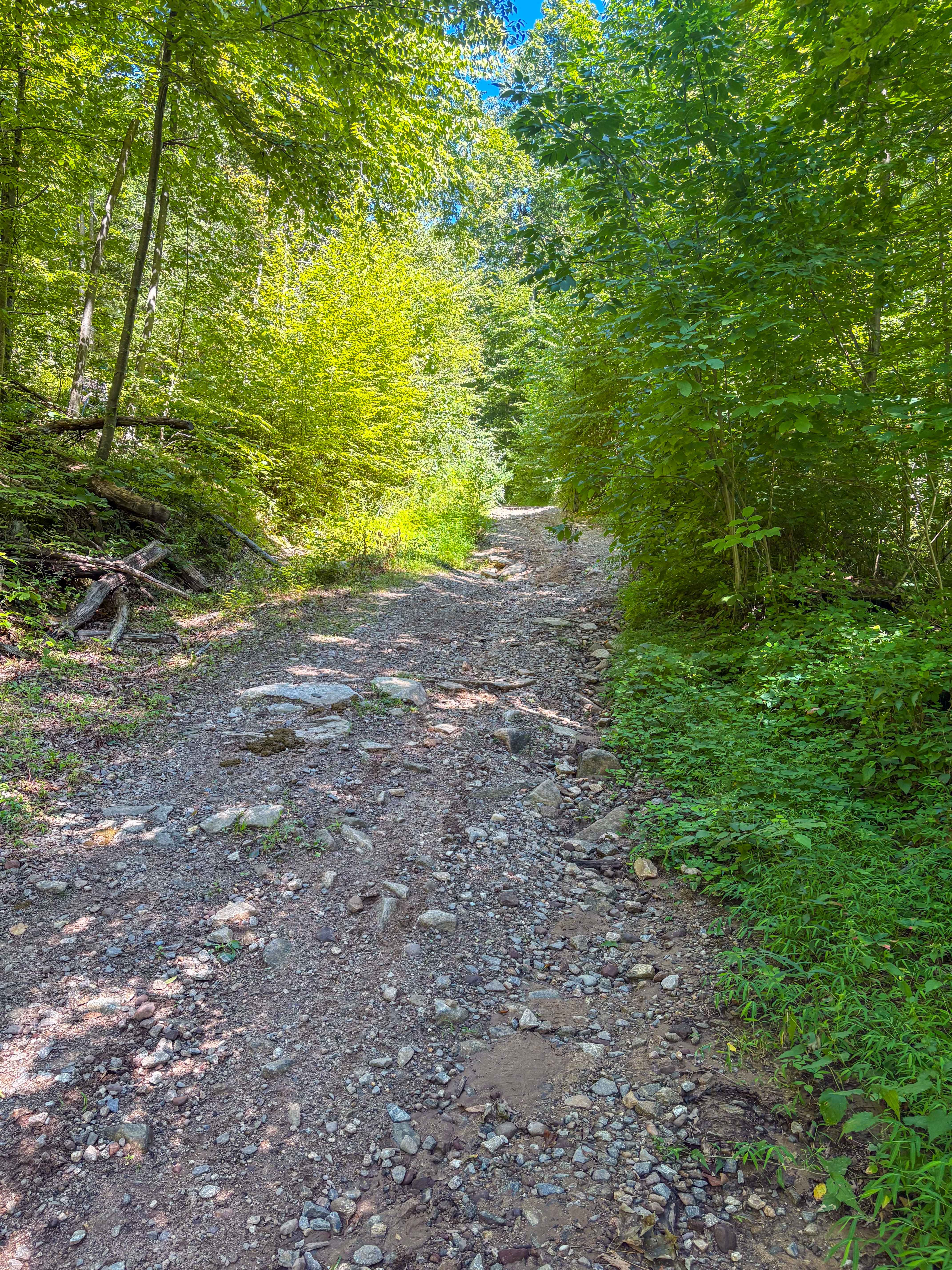 Shenipsit Trail System