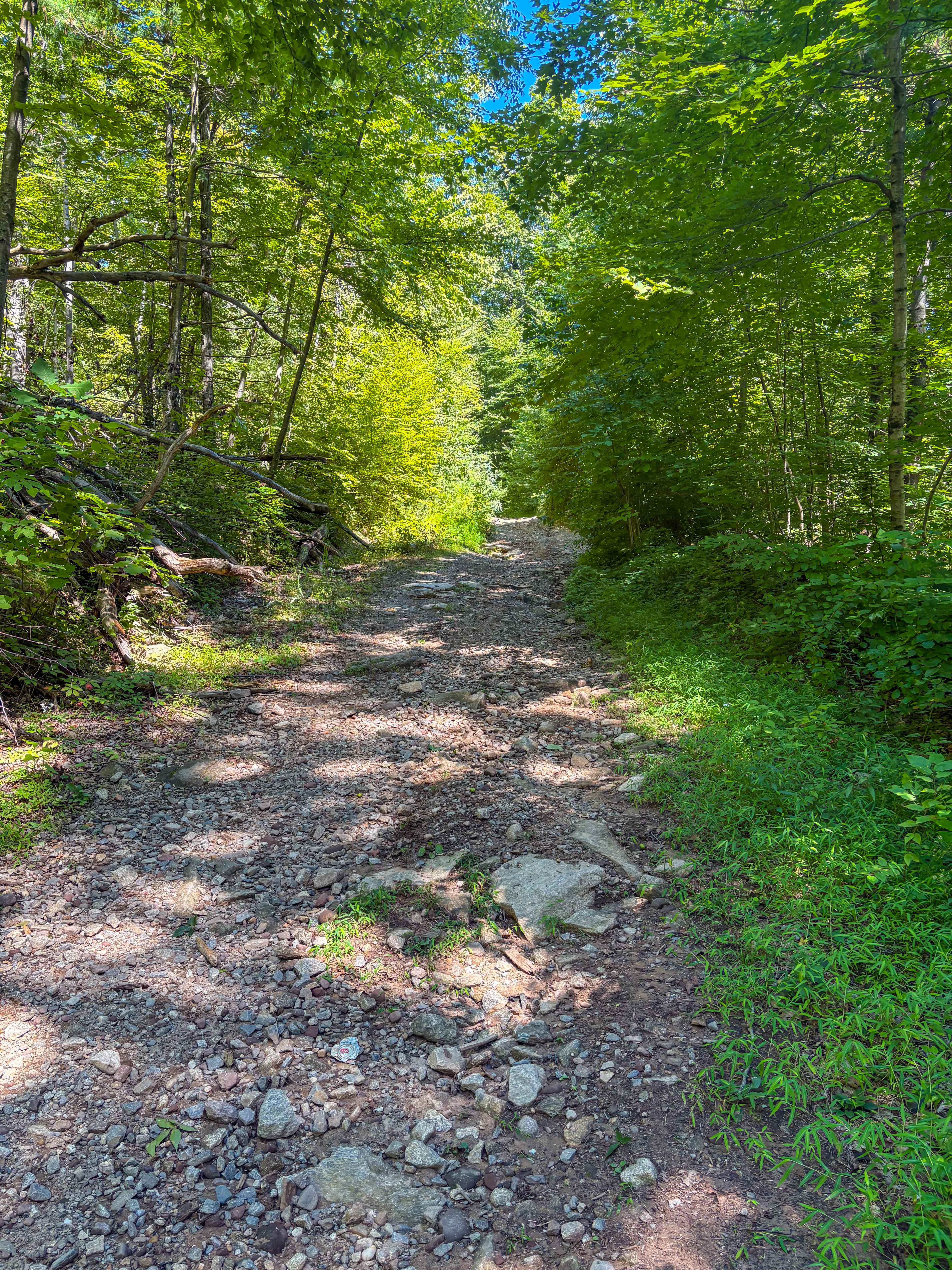 Shenipsit Trail System