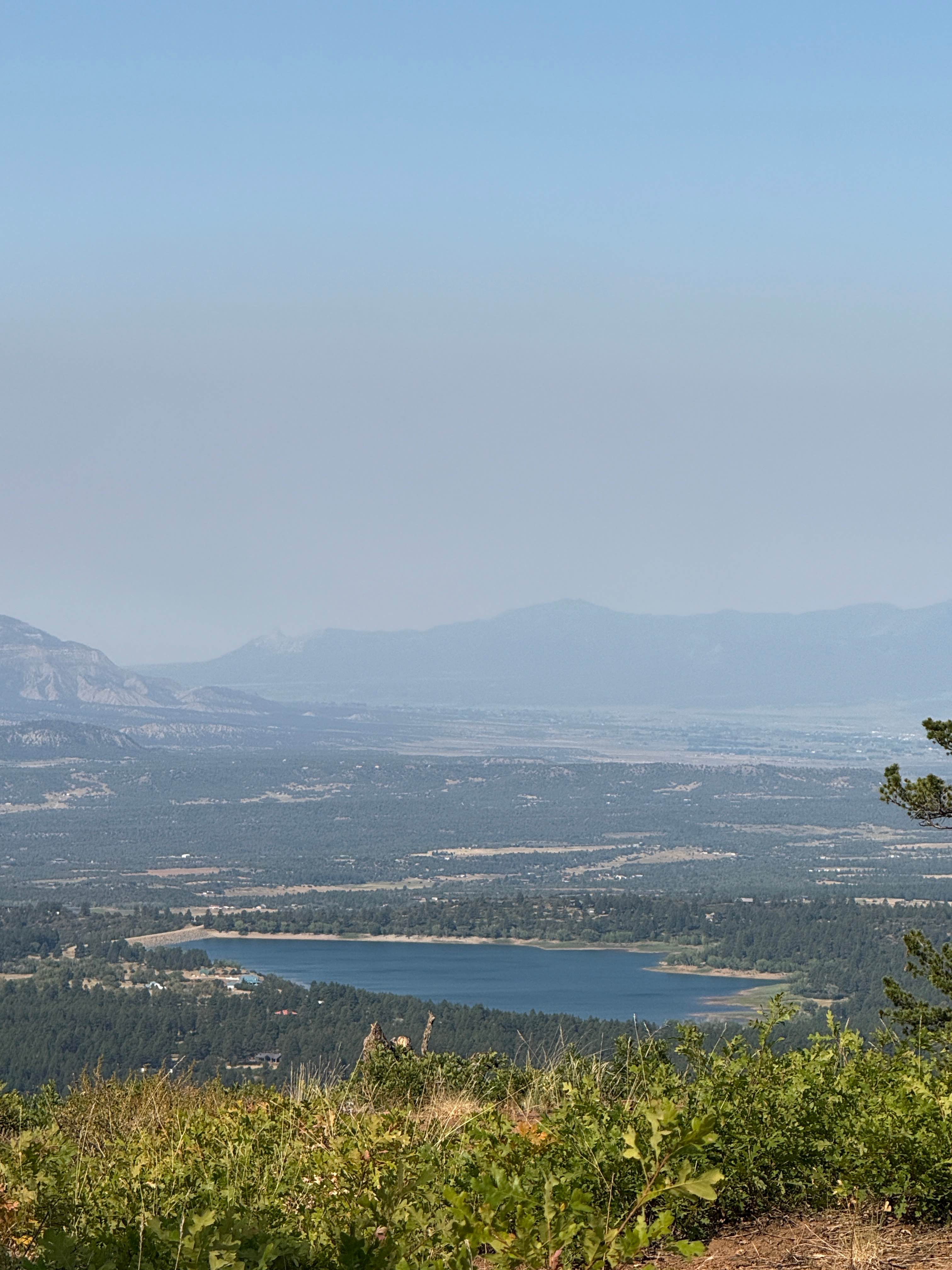 Forest Service Road 331 D1