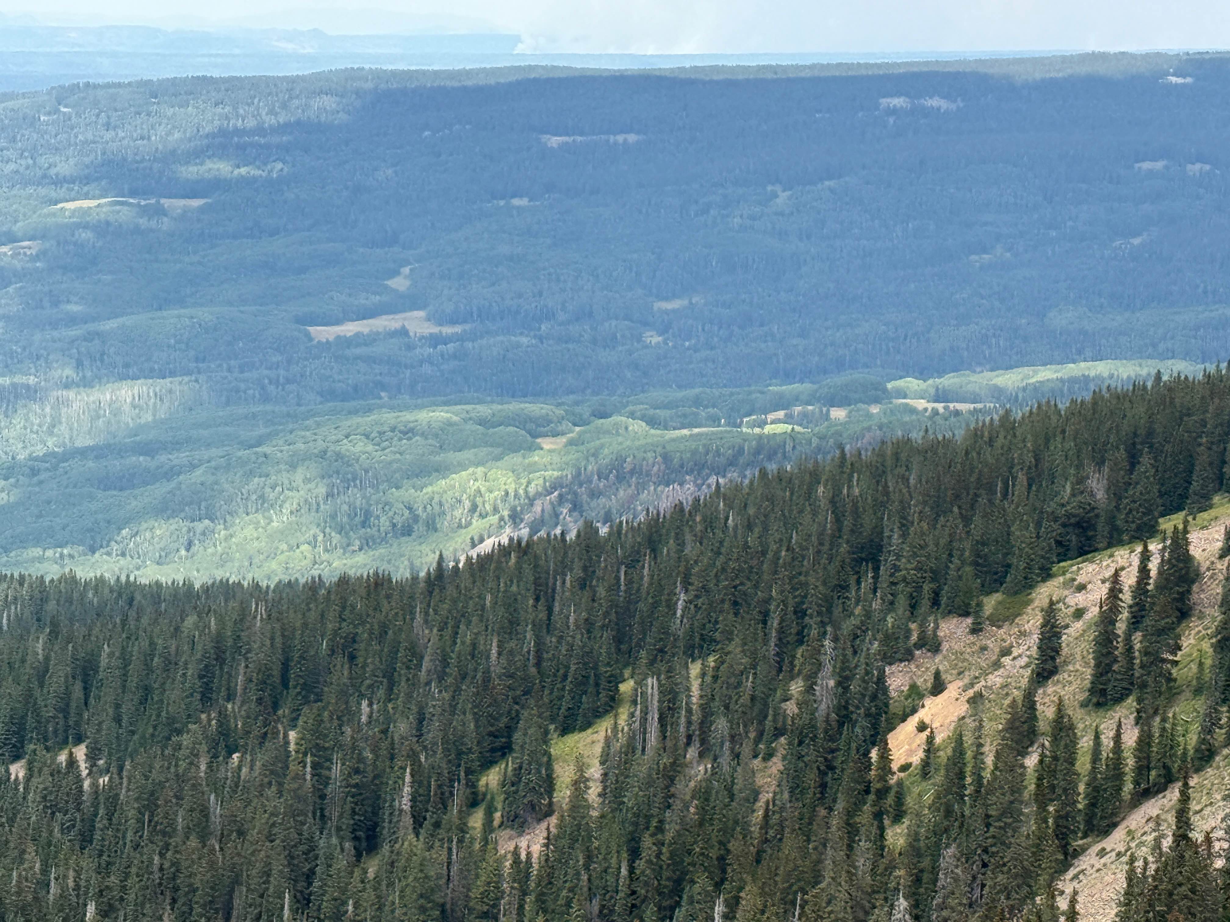 Forest Service Road 566 H