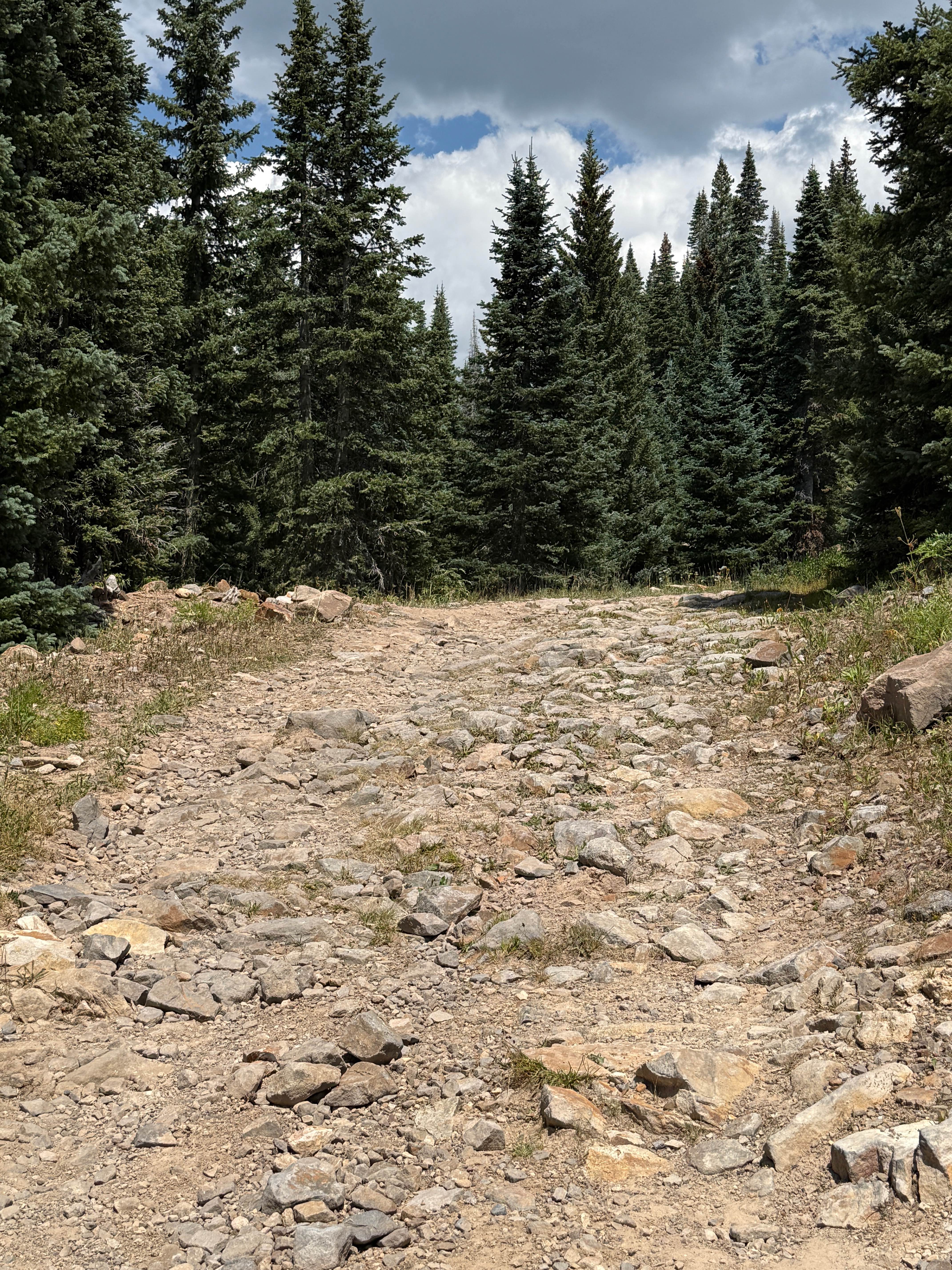 Forest Service Road 566 H