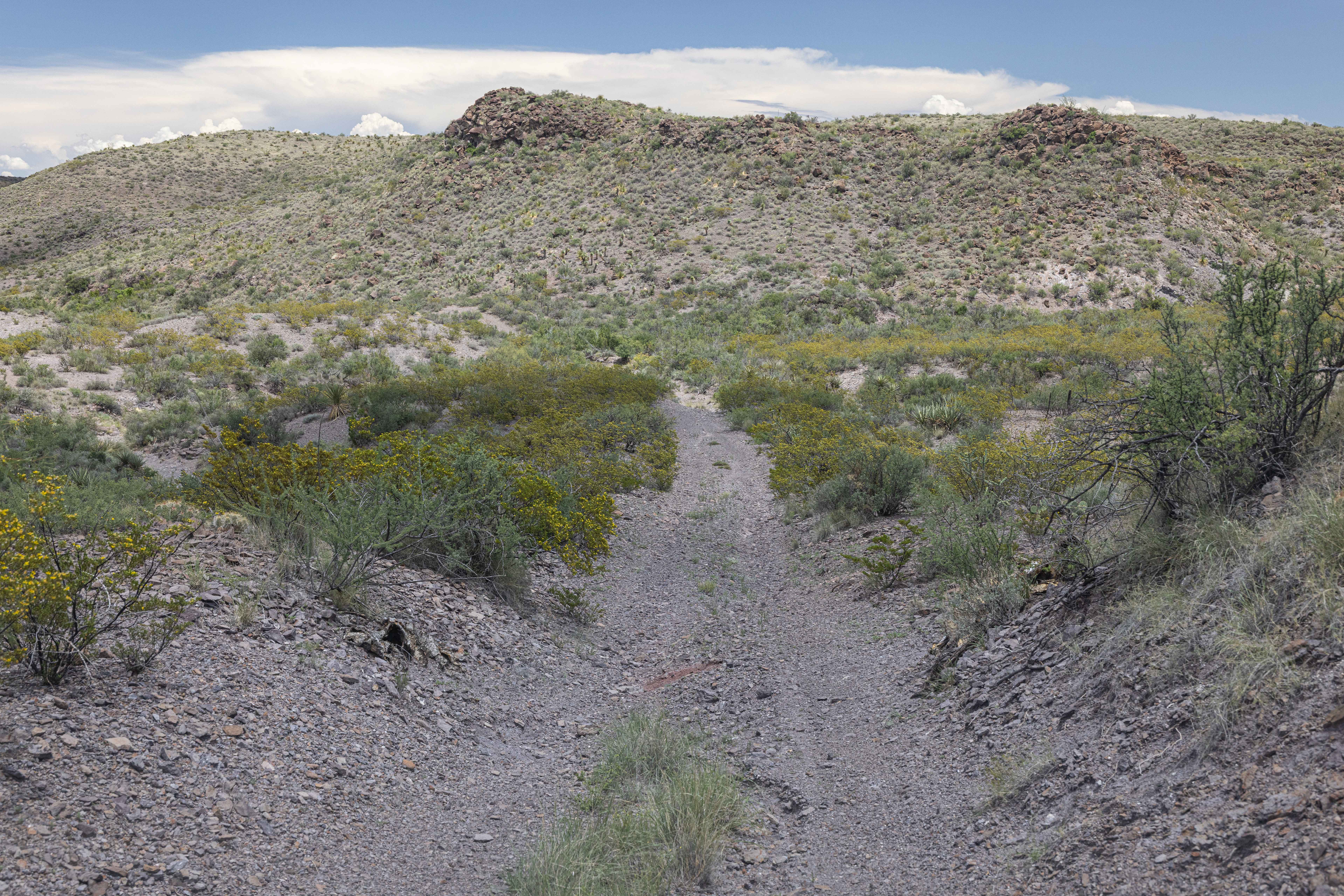 BBRSP - Los Alamos Road